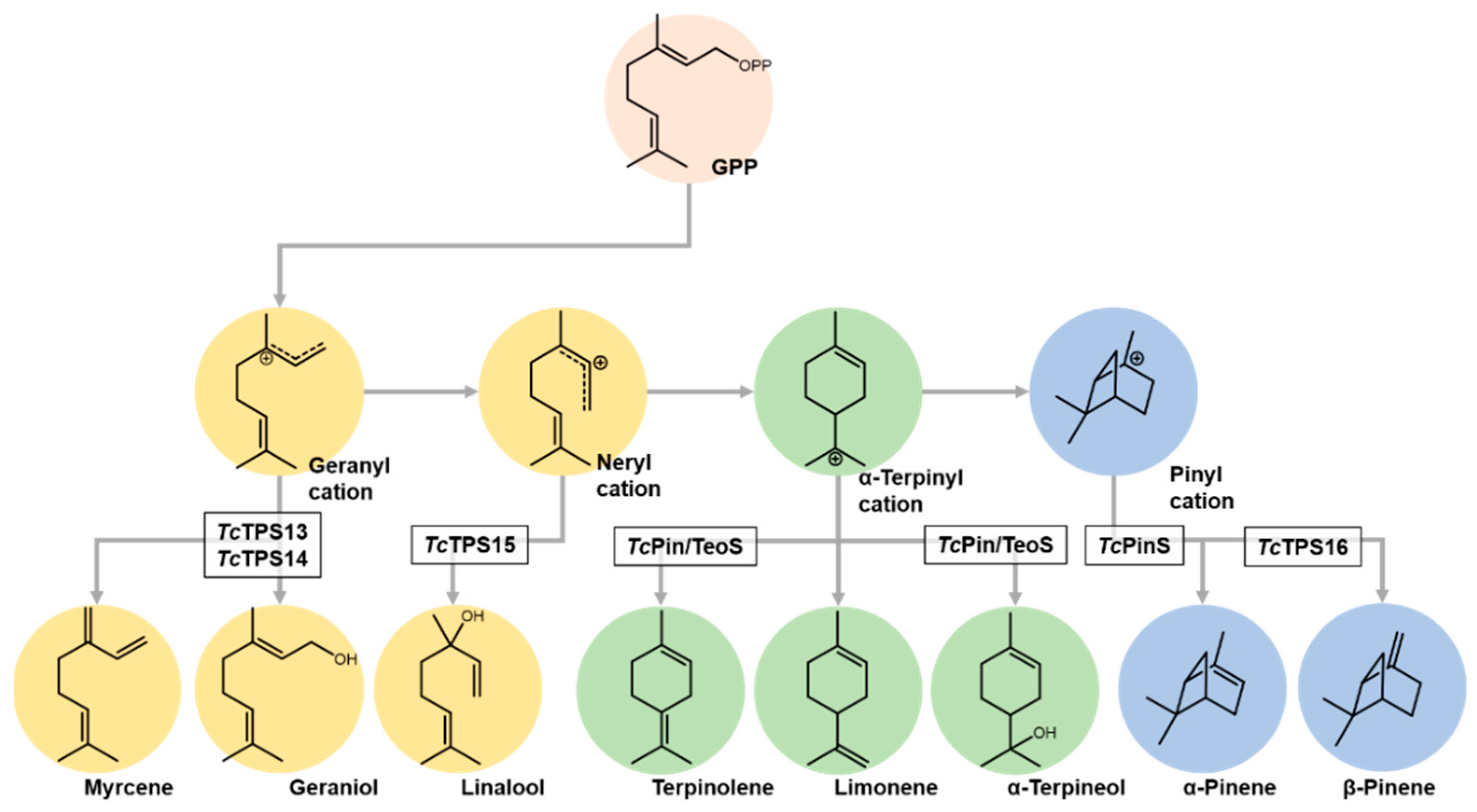 Plants 10 02404 g006