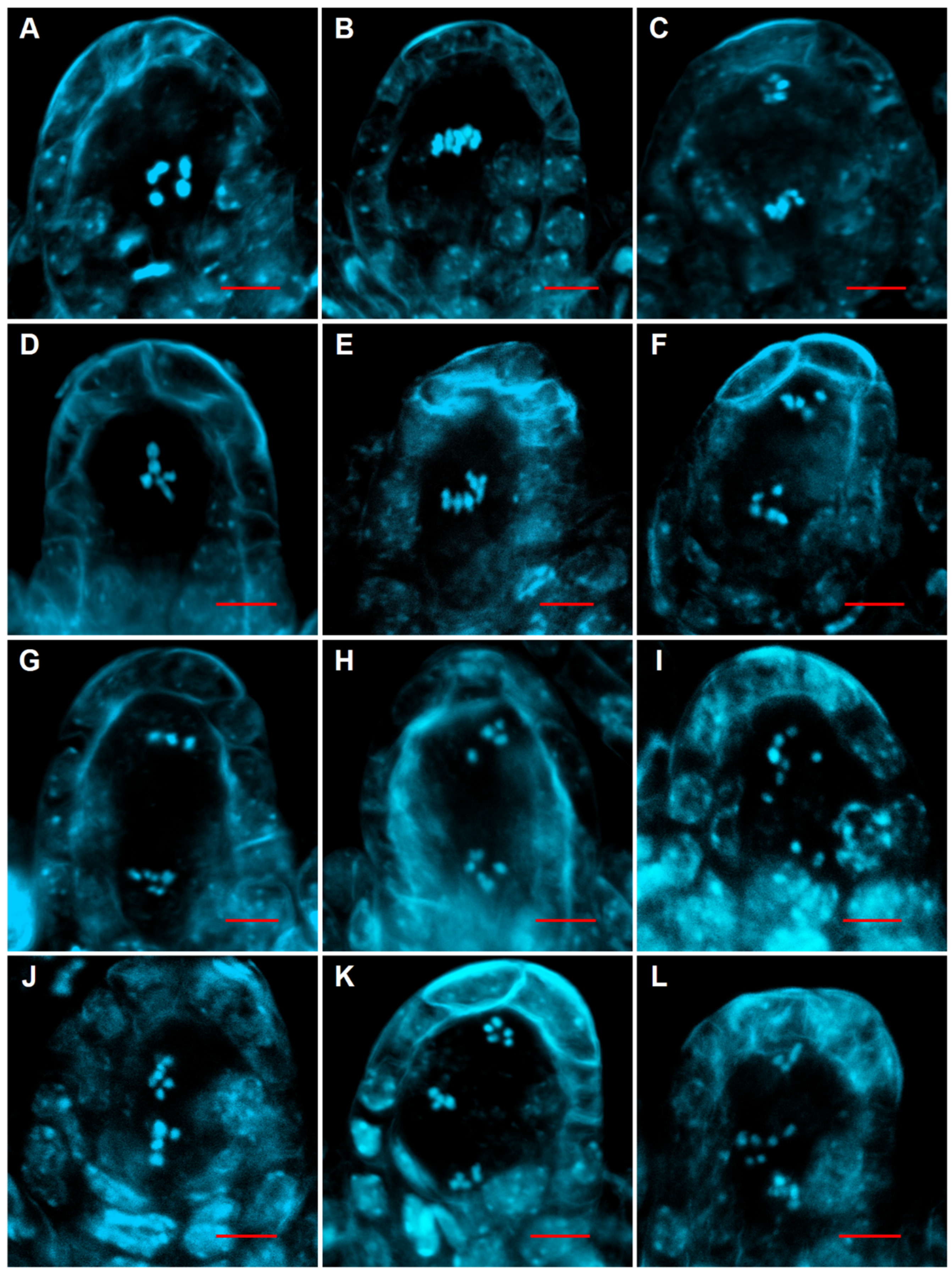 Plants 10 02418 g003