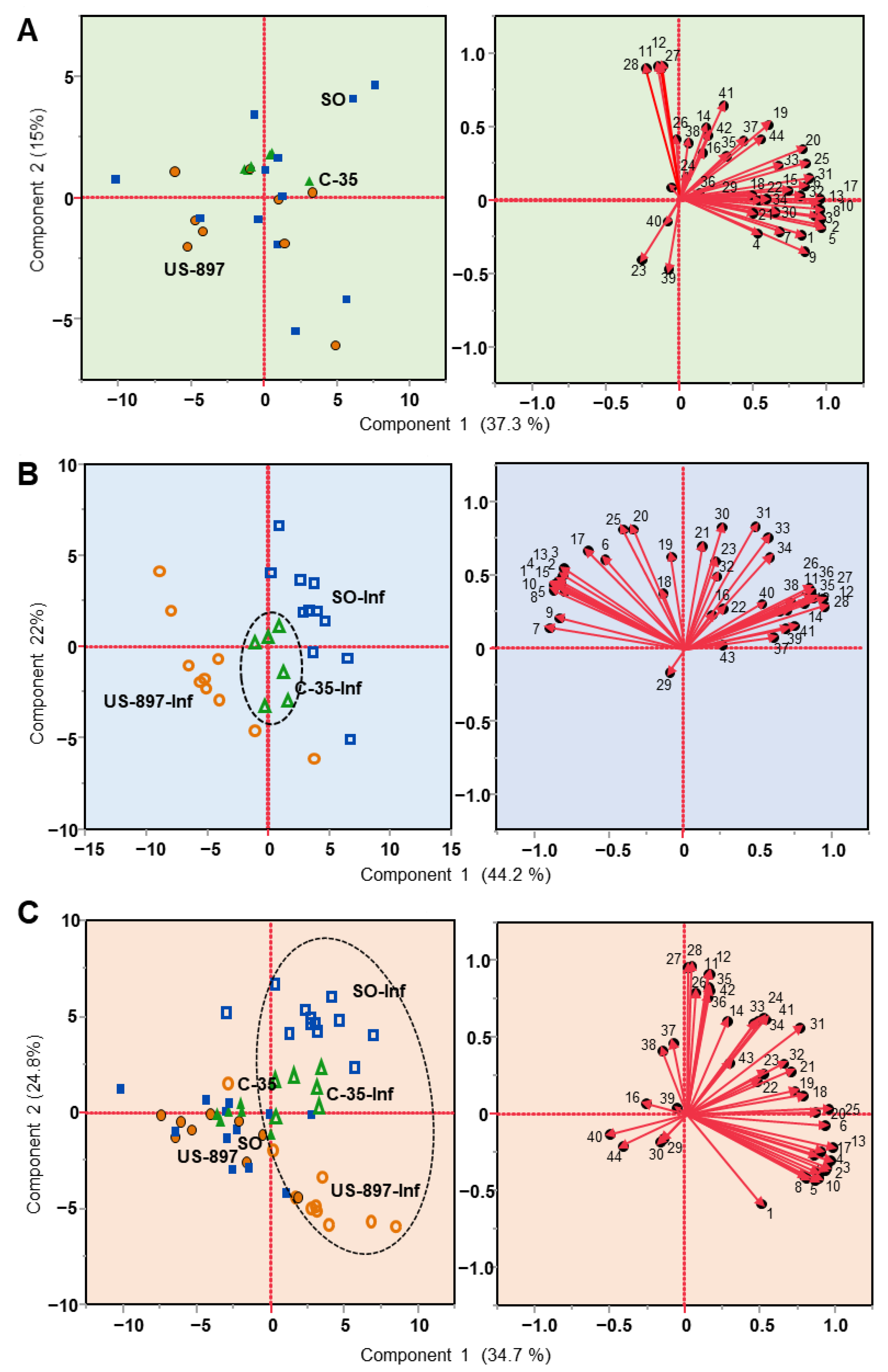 Plants 10 02422 g001