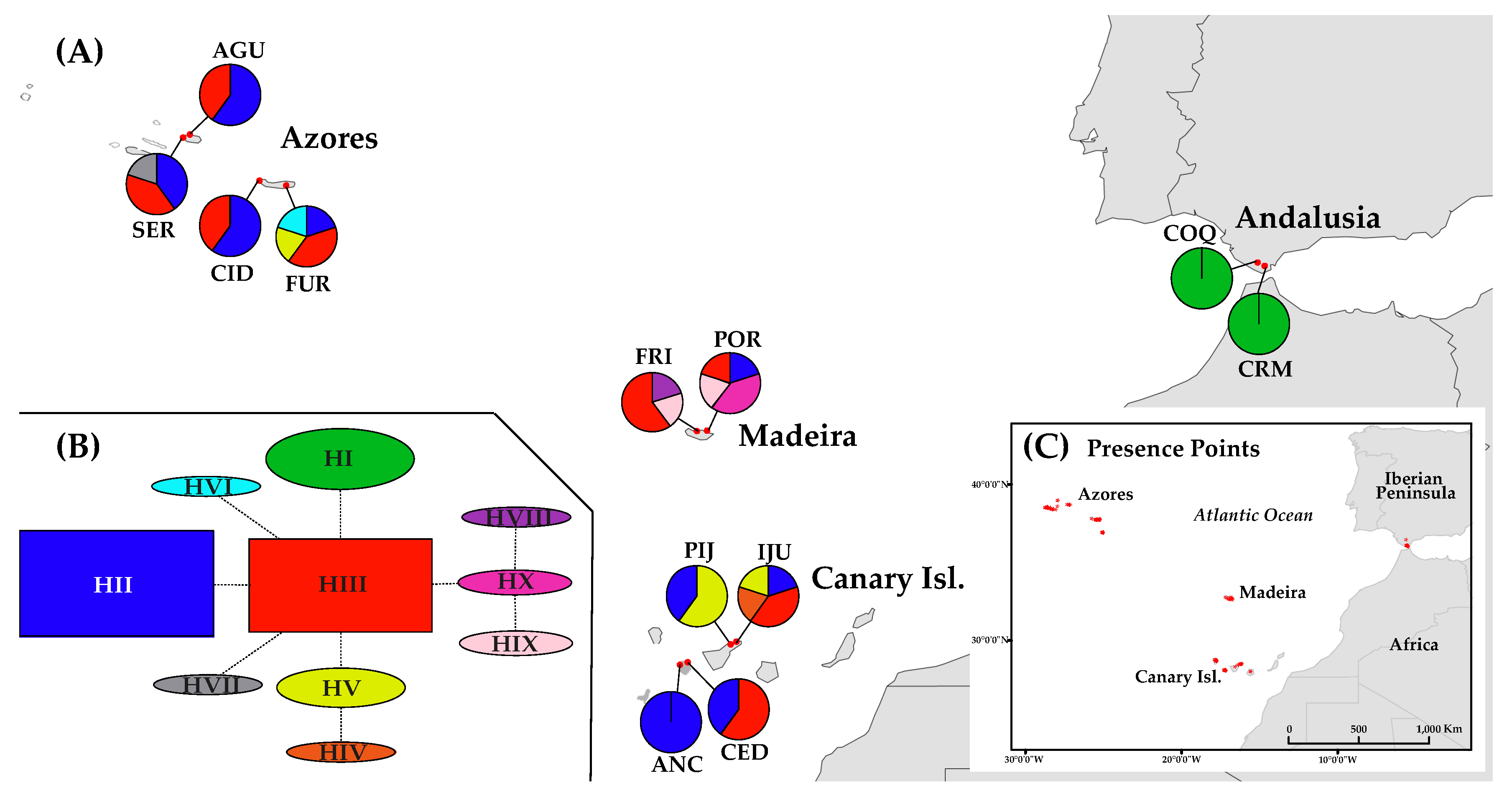 Plants 10 02425 g001