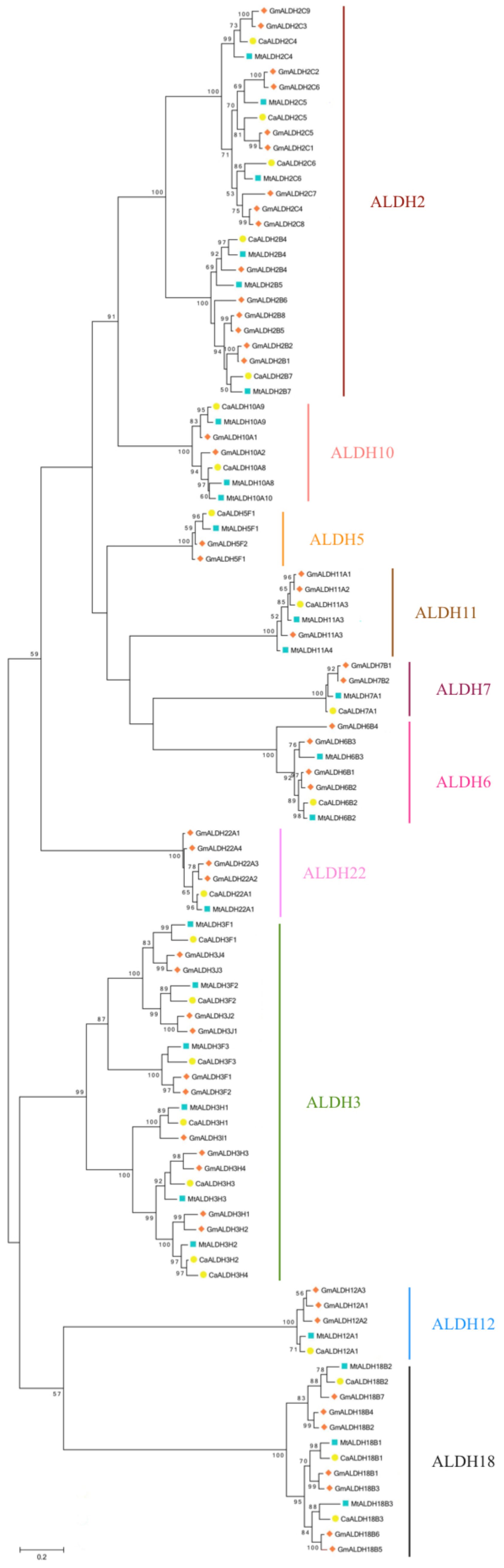 Plants 10 02429 g003
