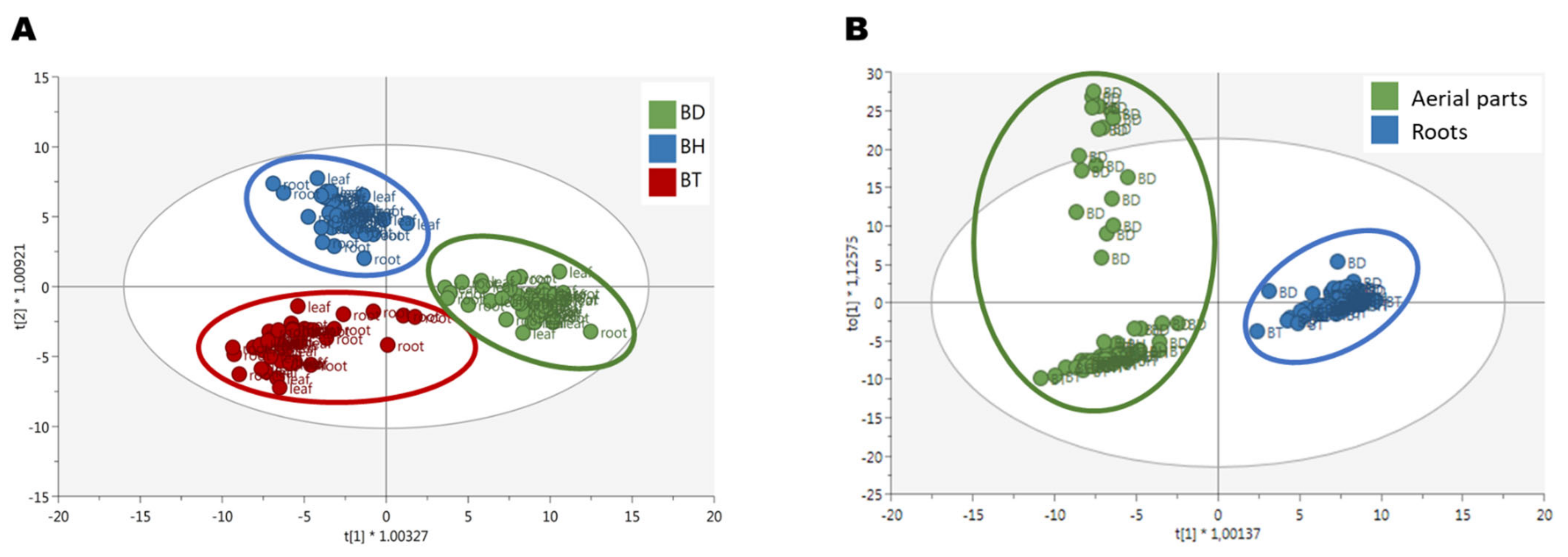 Plants 10 02430 g002