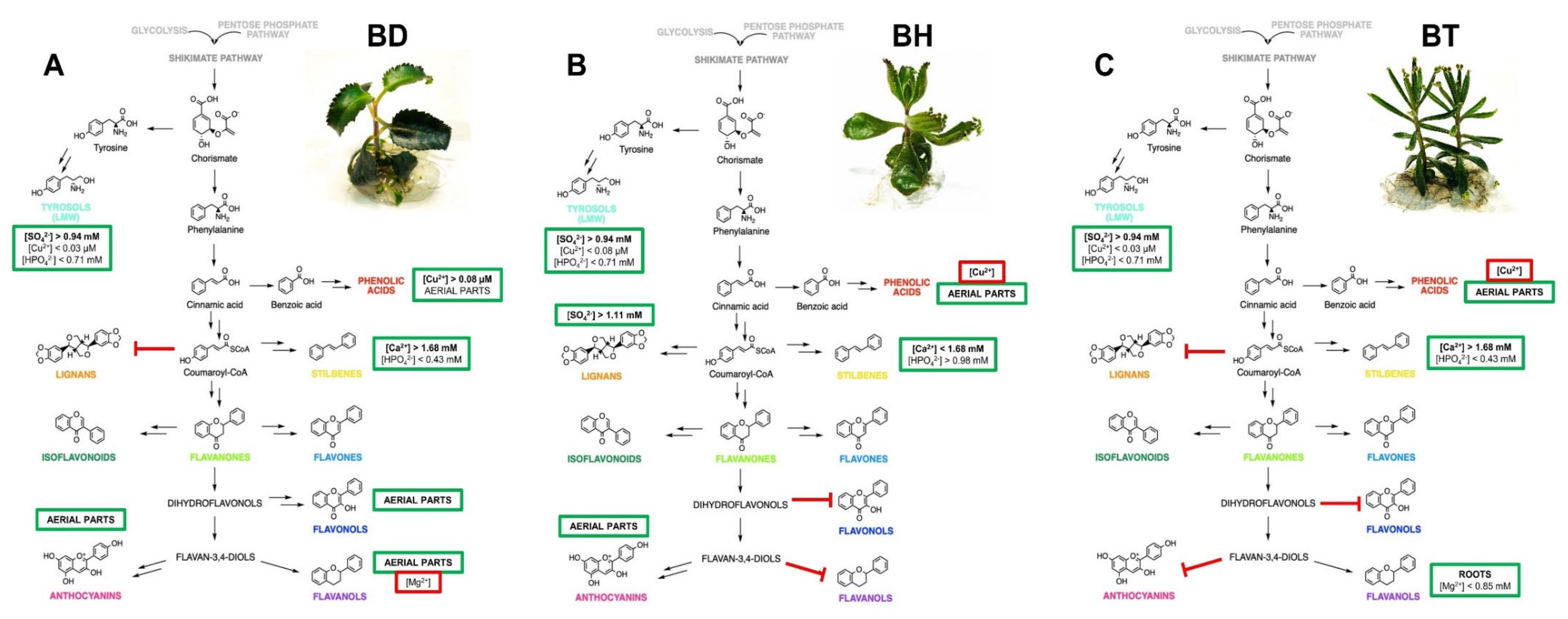 Plants 10 02430 g004