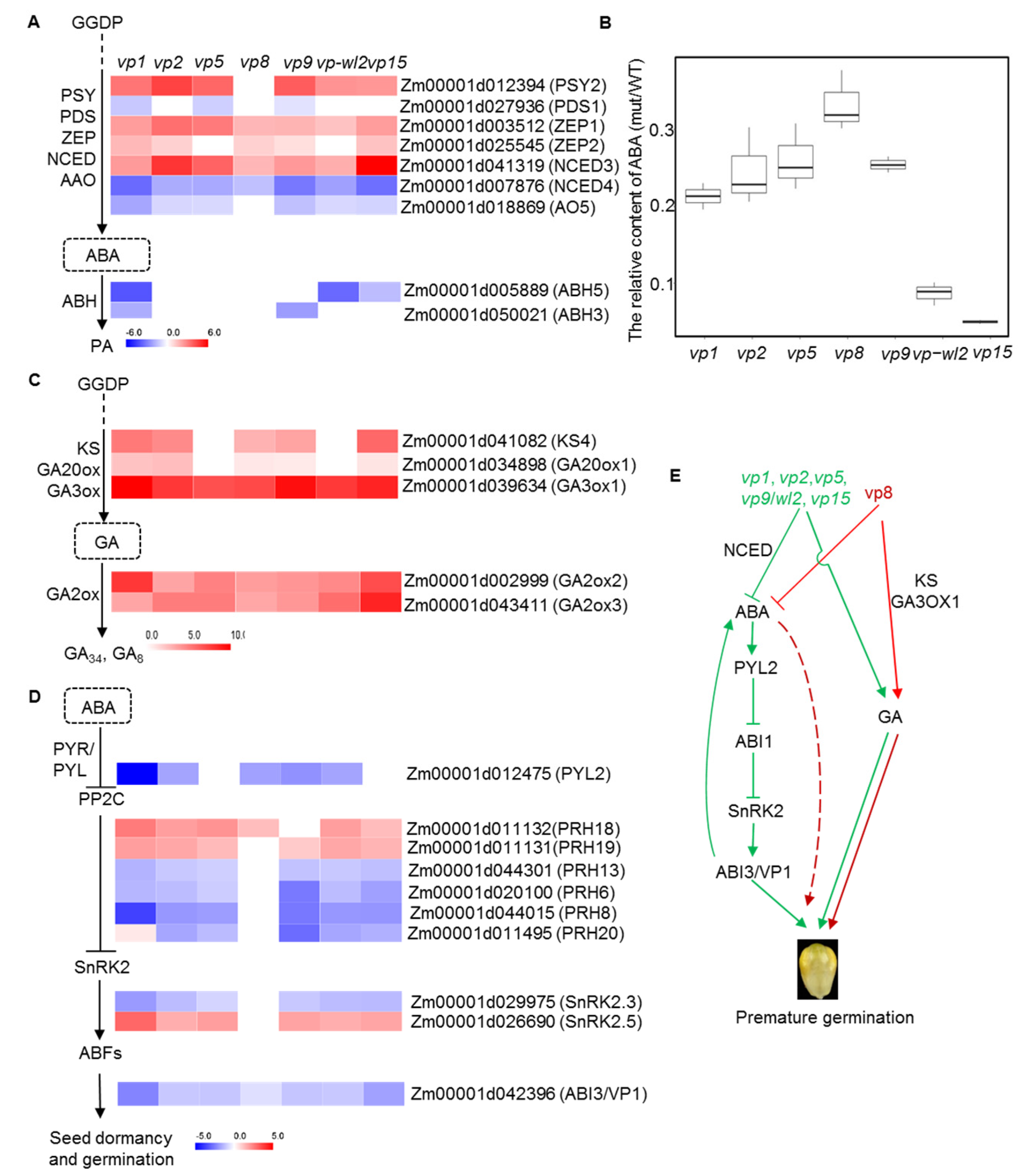 Plants 10 02437 g004