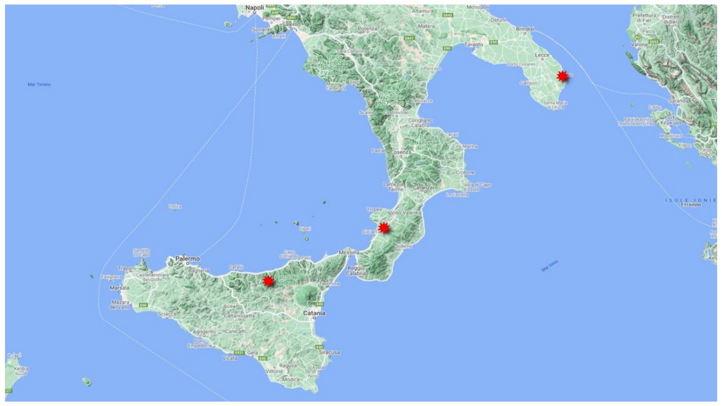 Plants 10 02448 g003