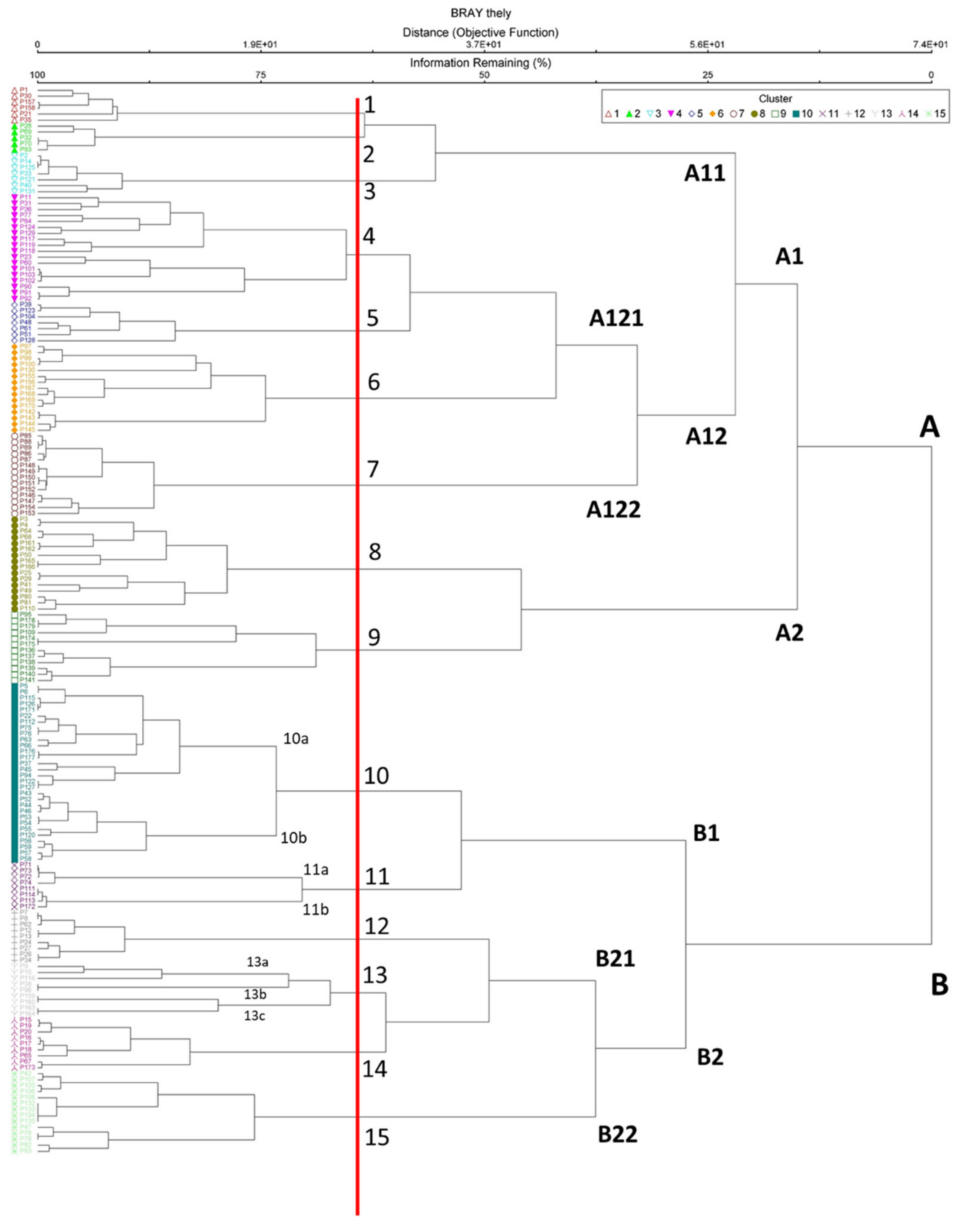 Plants 10 02448 g004