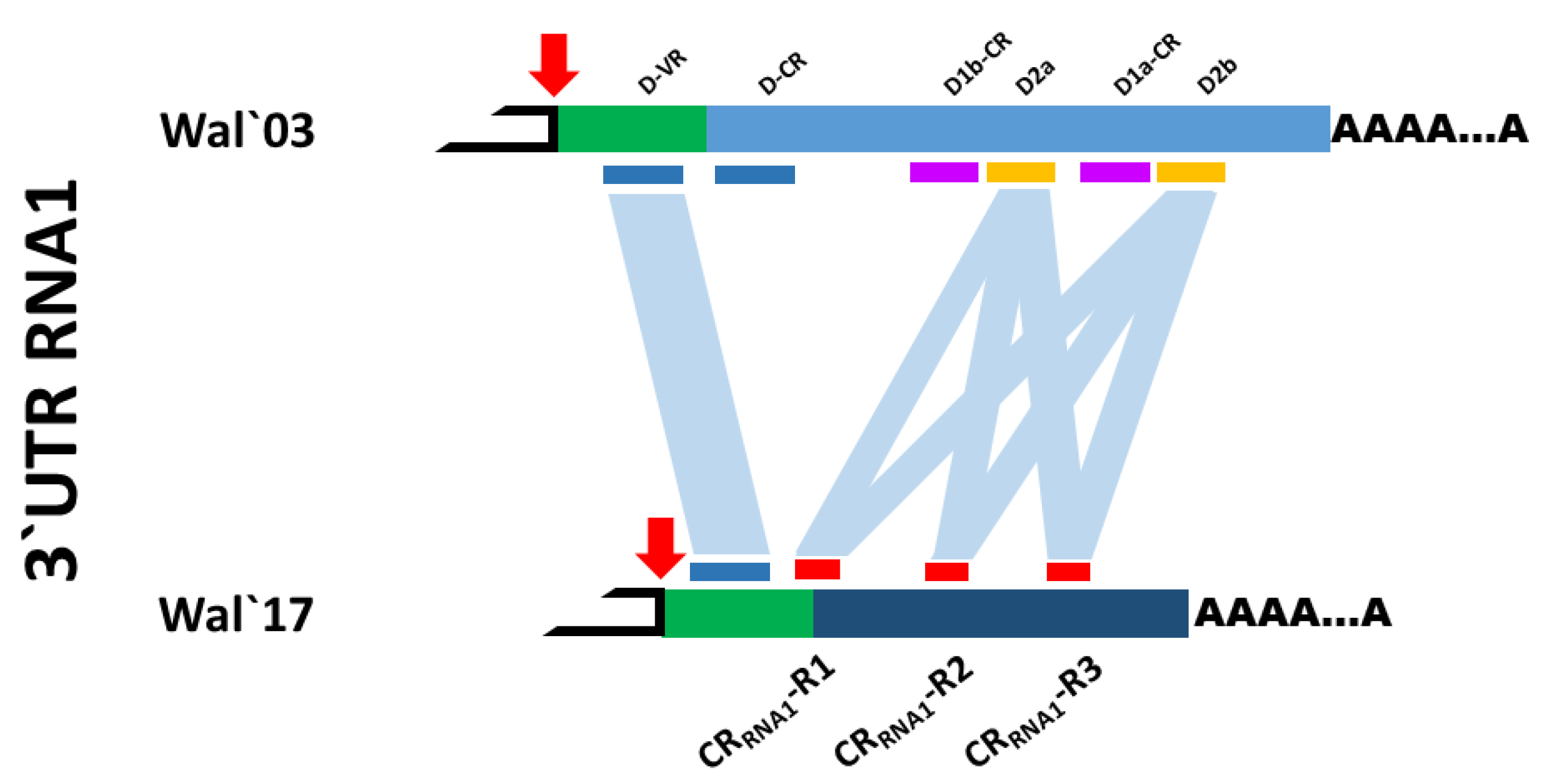 Plants 10 02454 g001