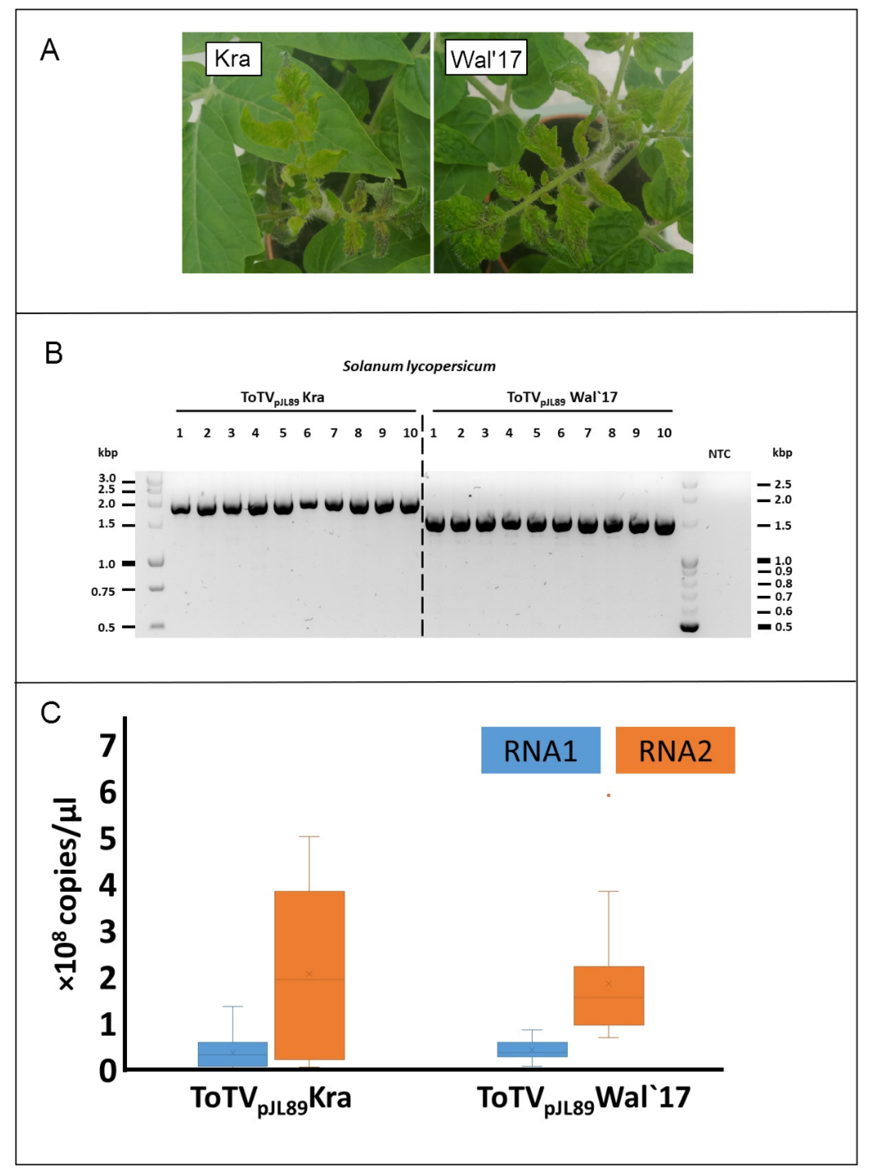 Plants 10 02454 g003