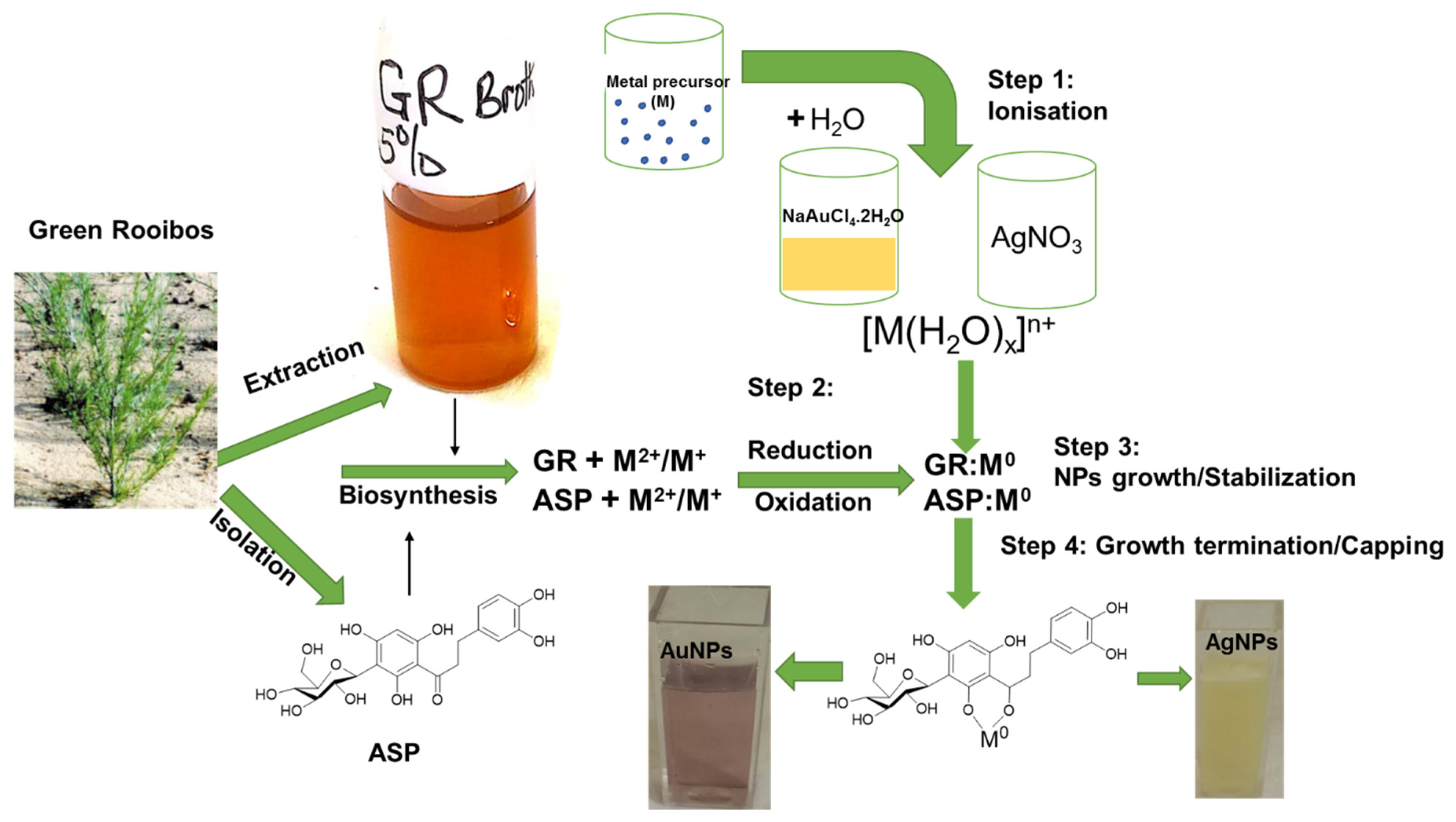 Plants 10 02460 sch001