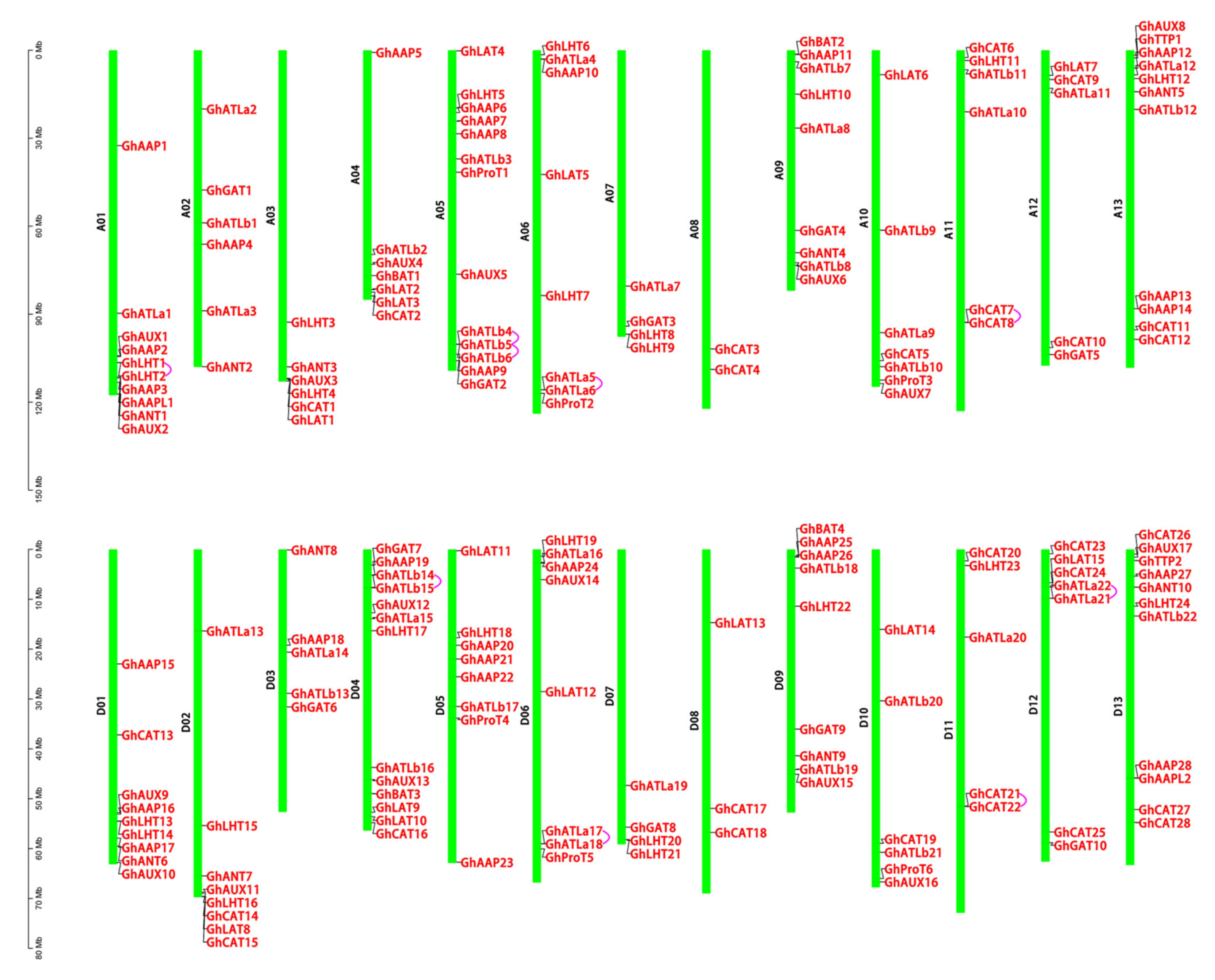 Plants 10 02461 g002