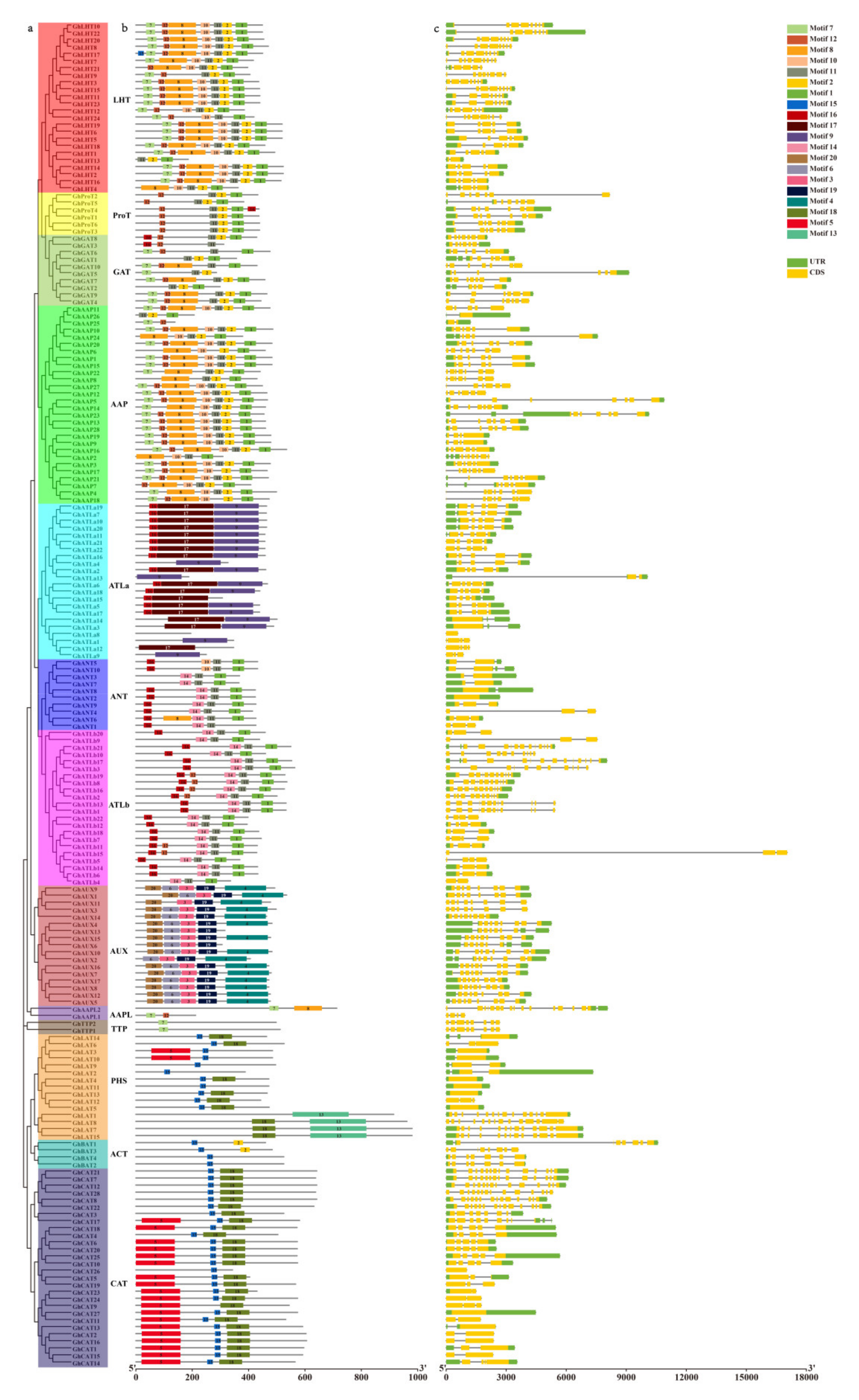 Plants 10 02461 g005