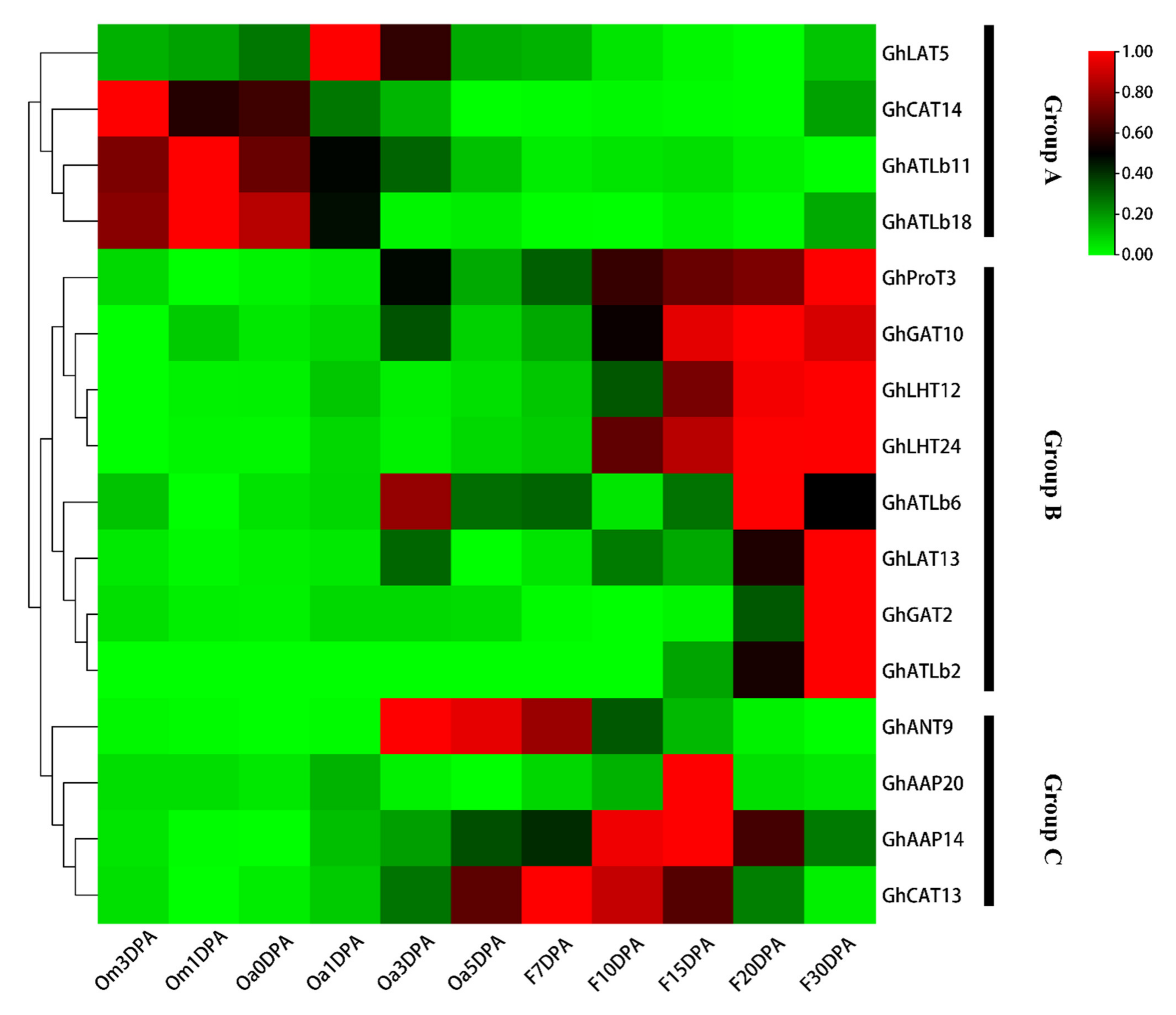 Plants 10 02461 g006