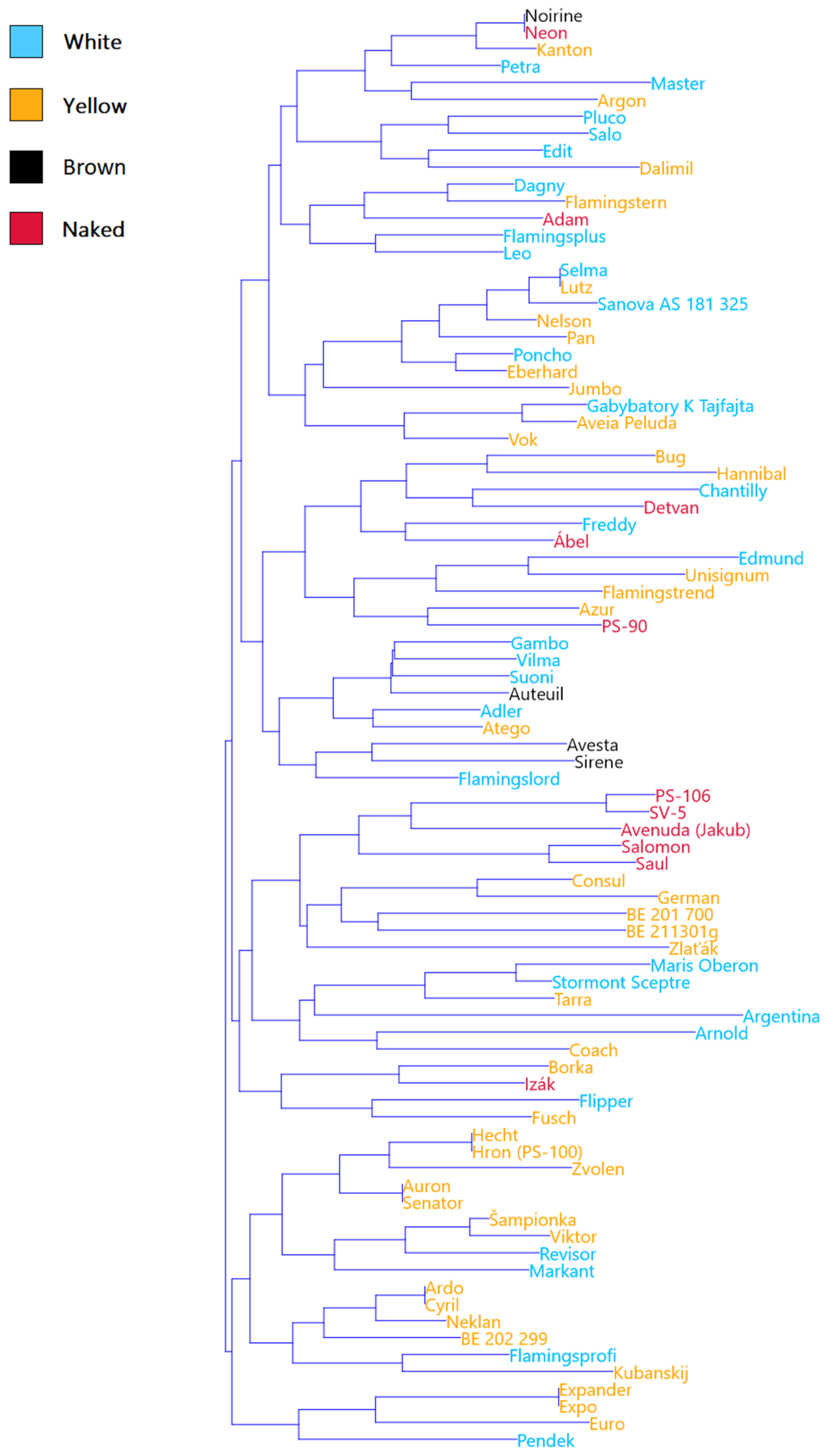 Plants 10 02462 g002