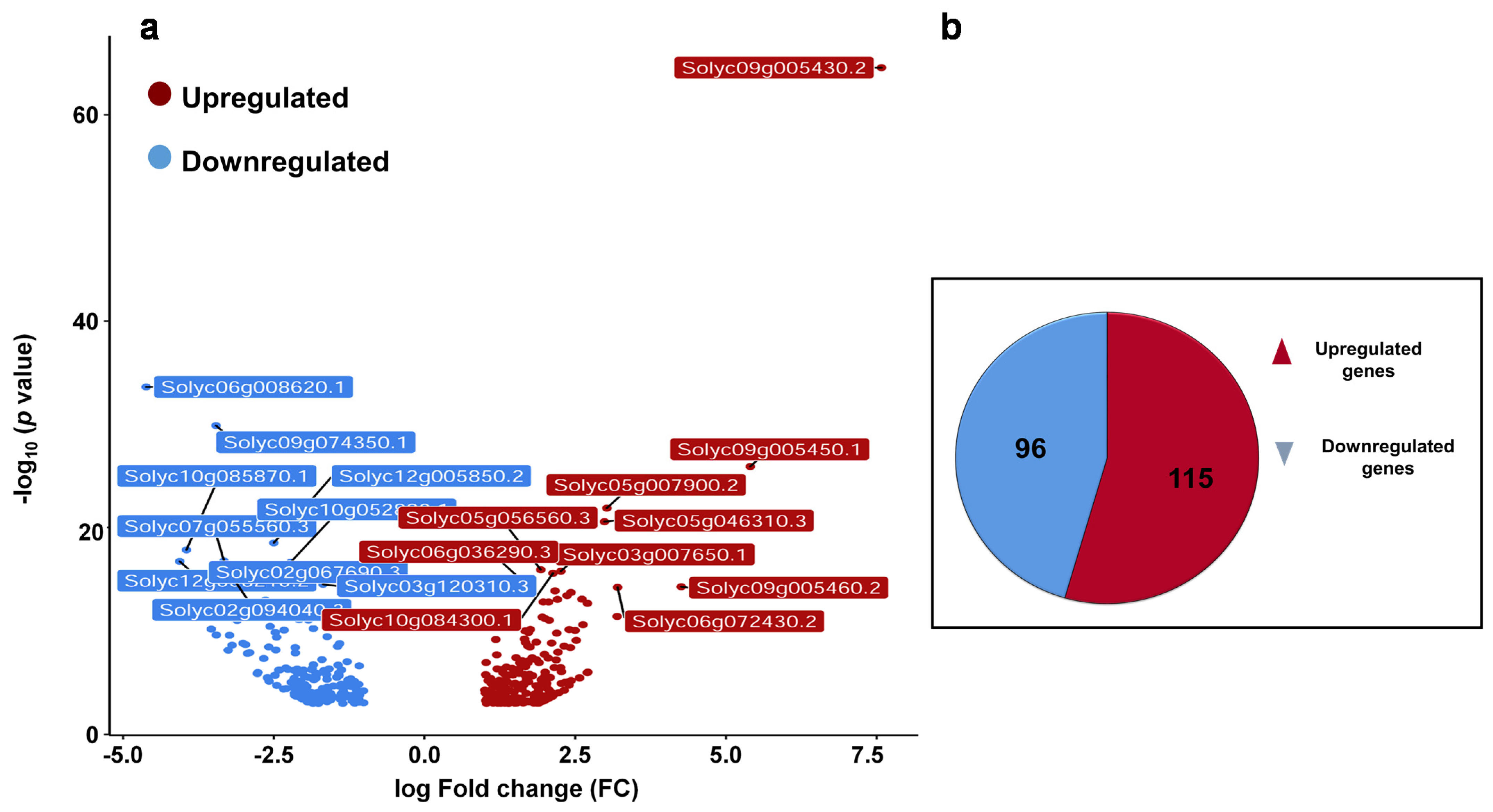Plants 10 02465 g001