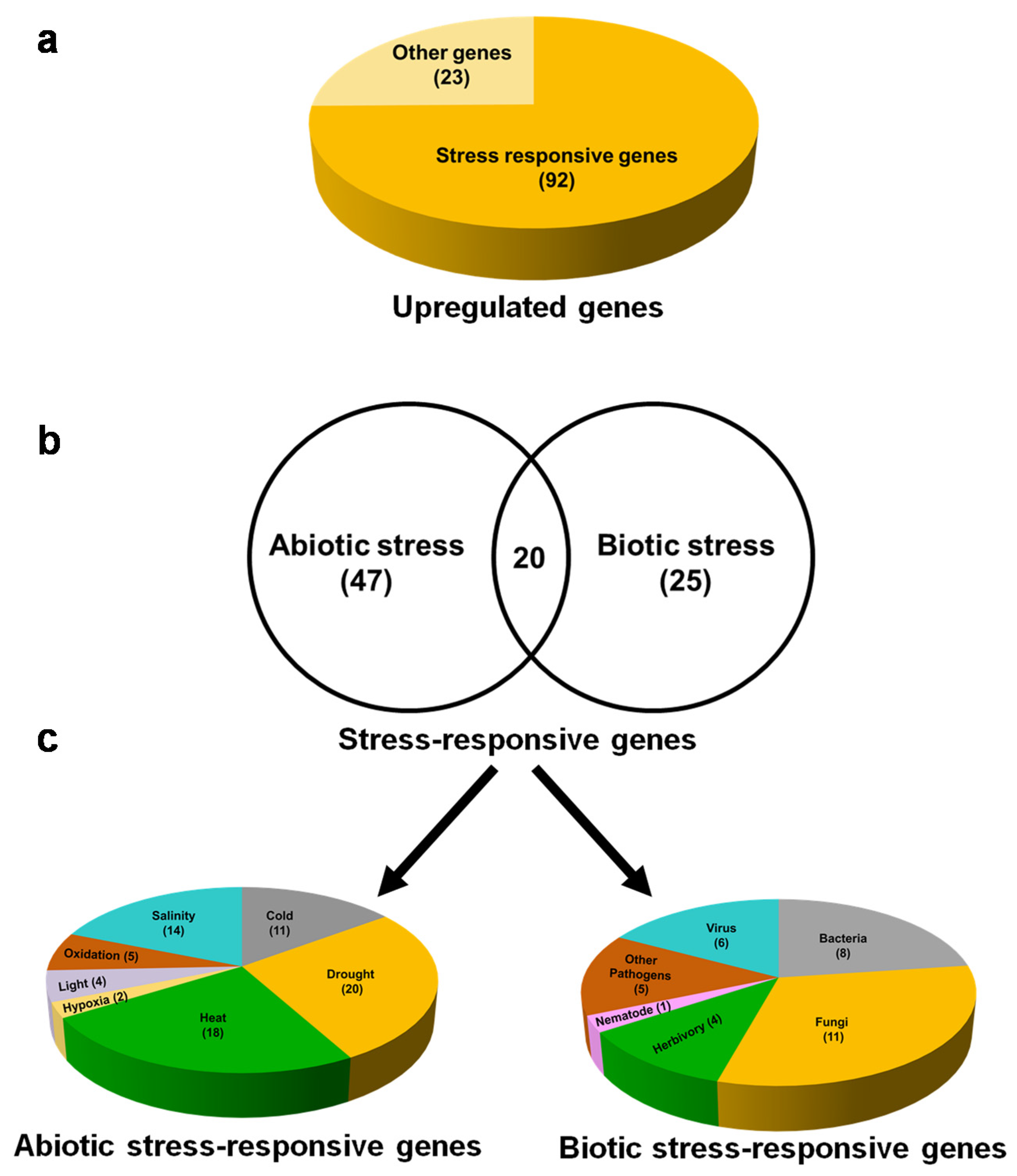 Plants 10 02465 g005