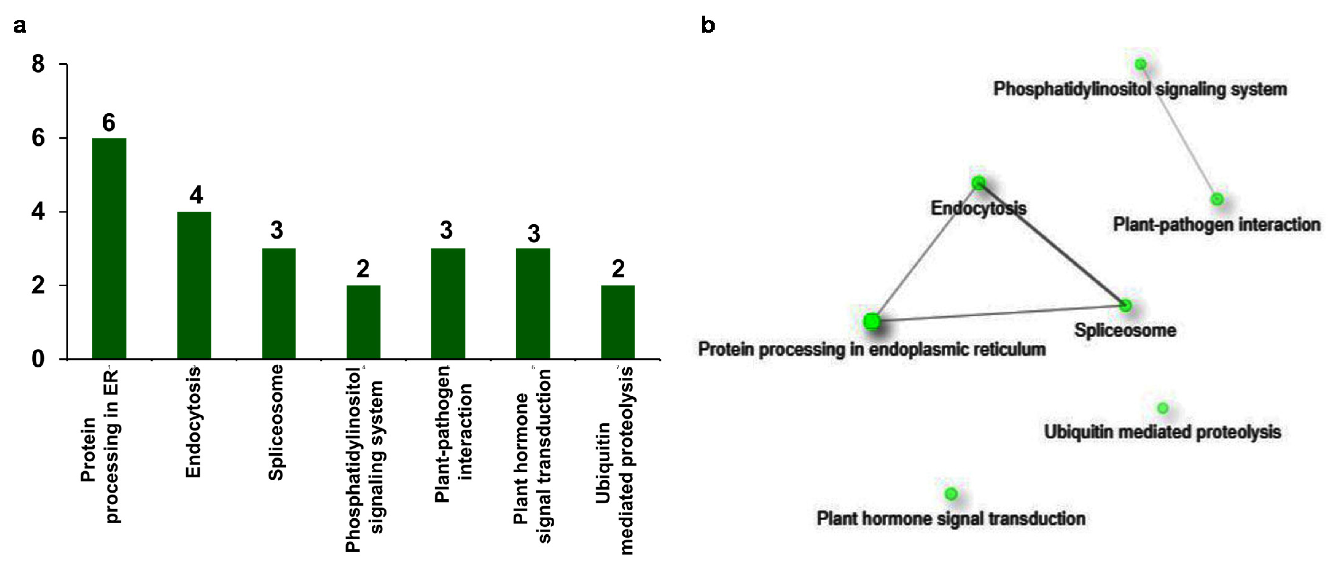 Plants 10 02465 g006