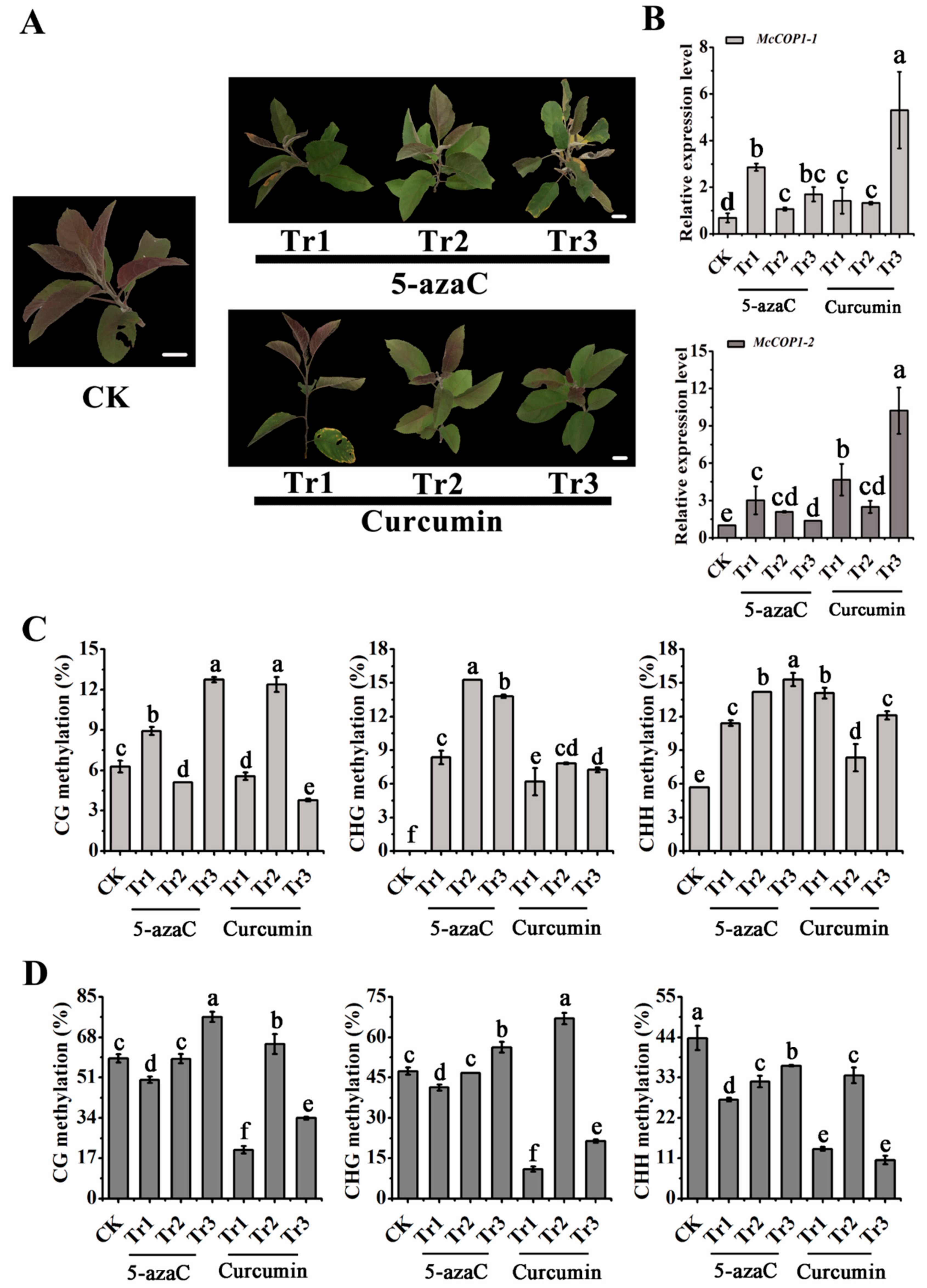 Plants 10 02466 g003