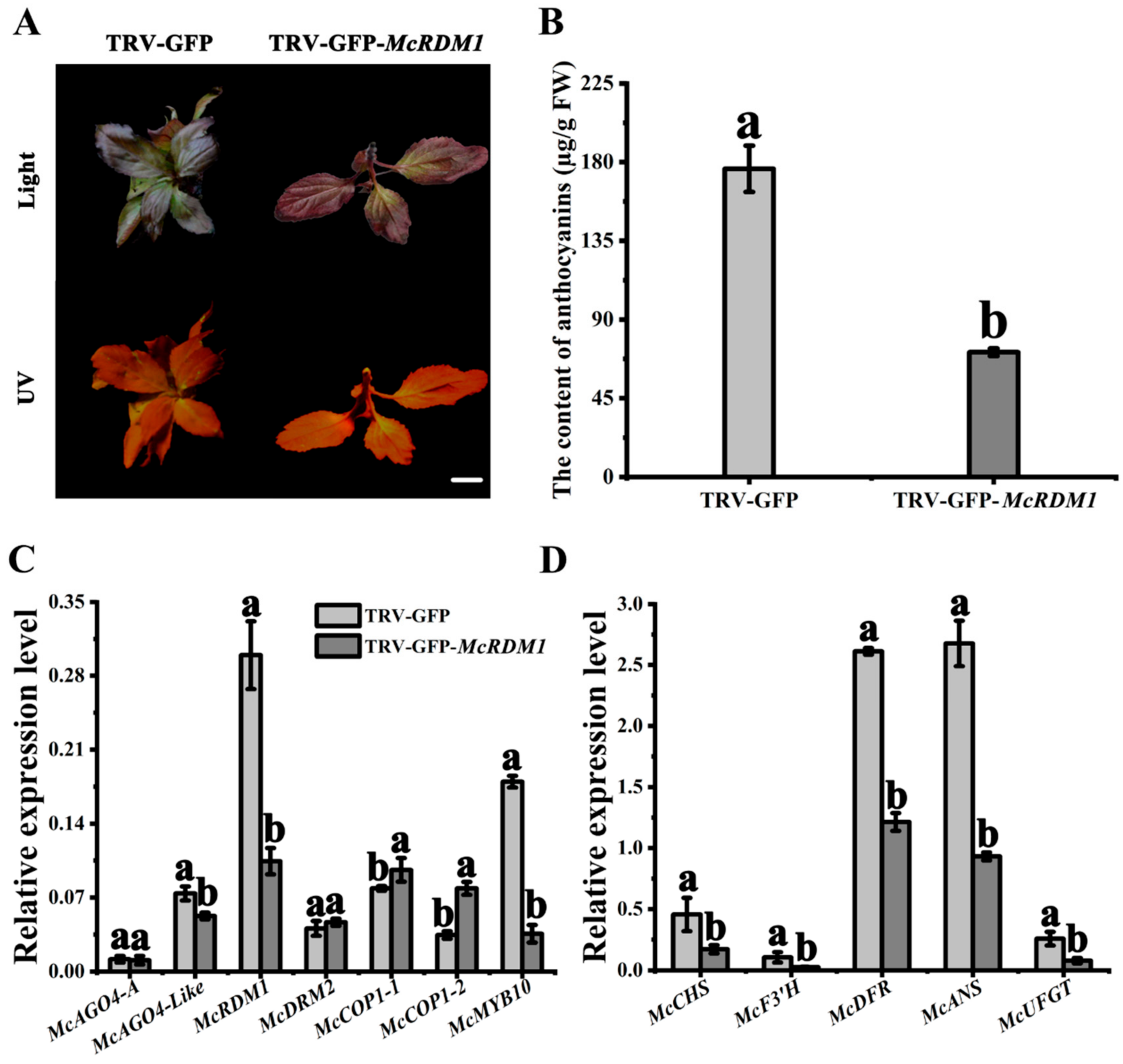 Plants 10 02466 g005