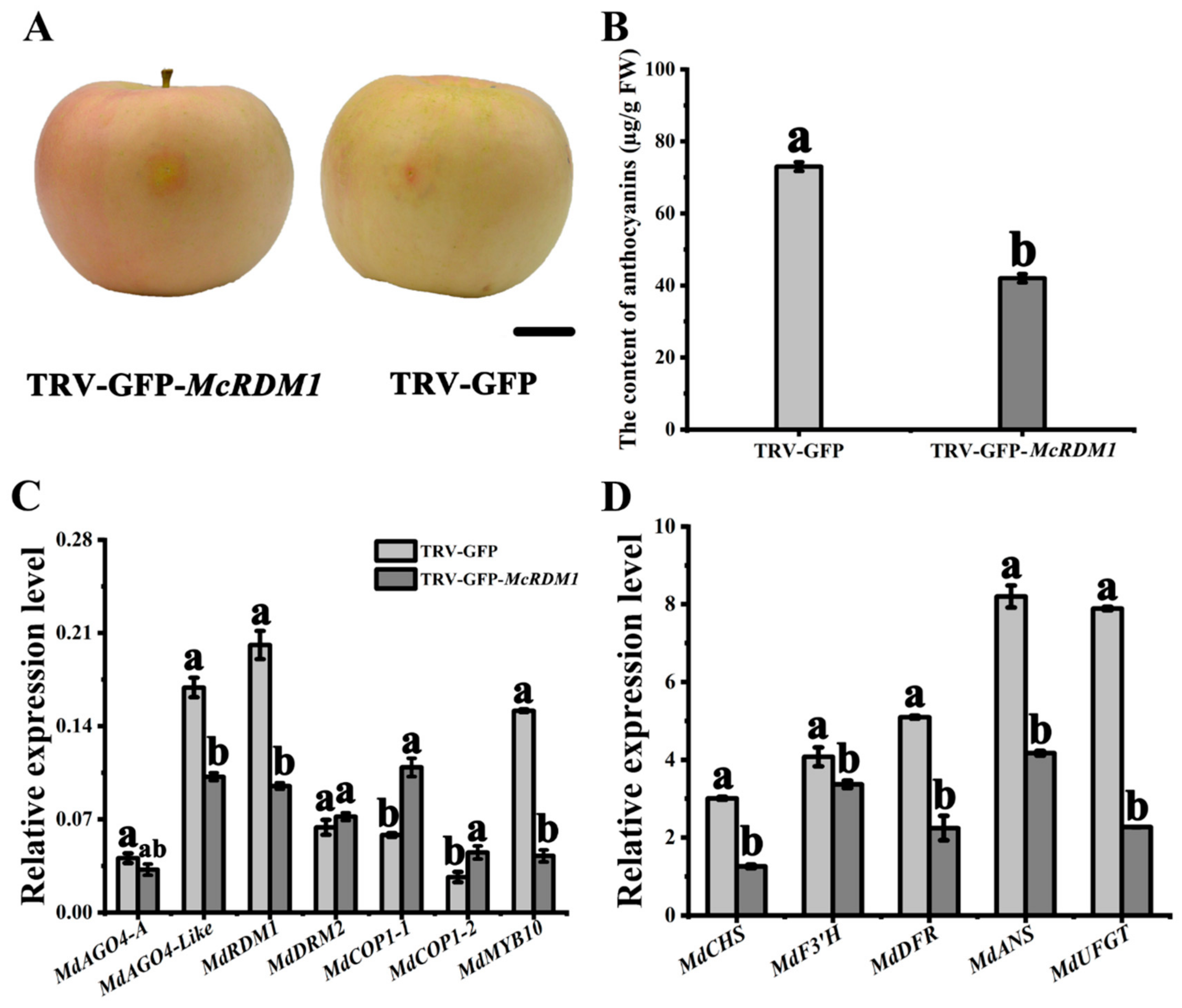 Plants 10 02466 g006