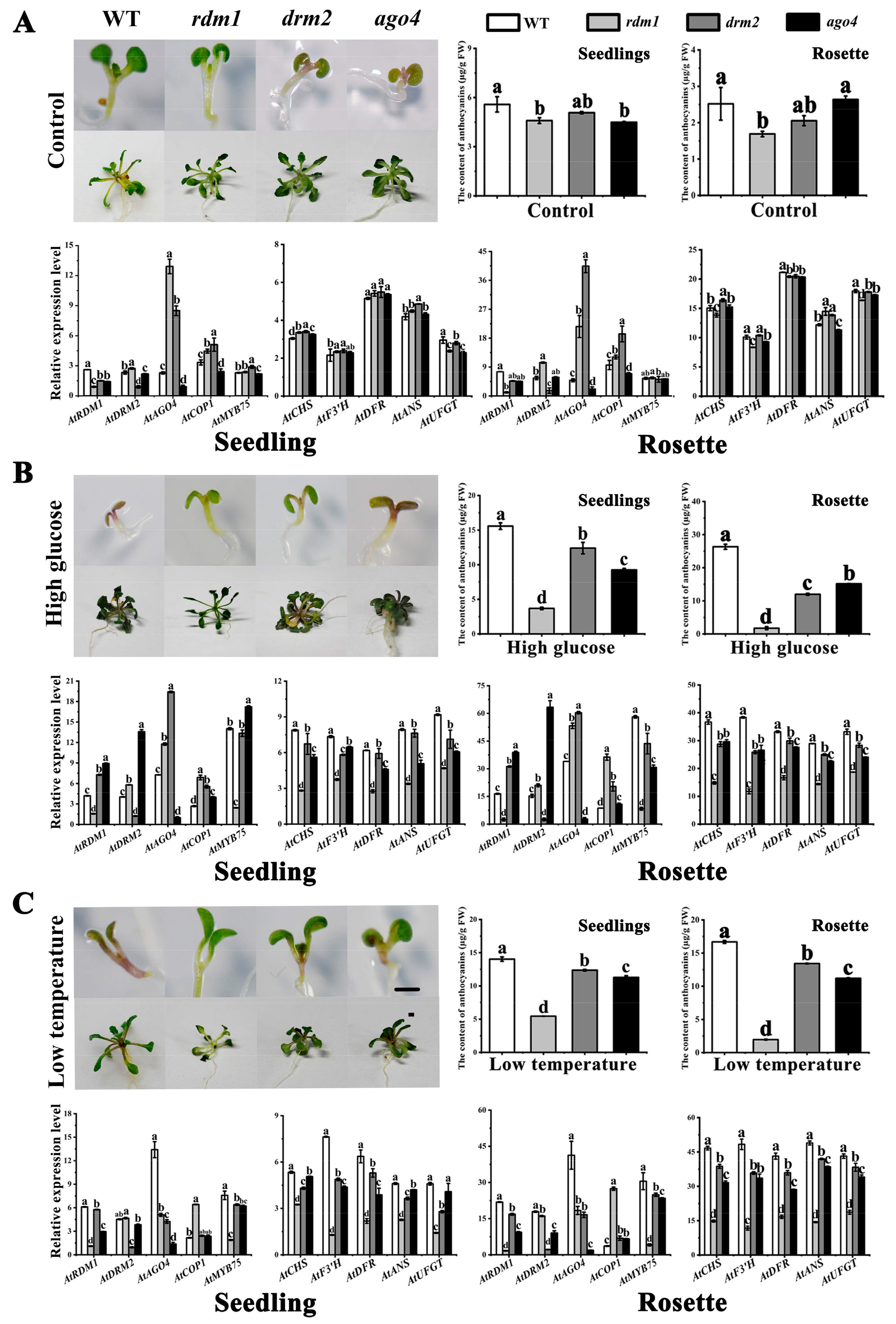 Plants 10 02466 g007