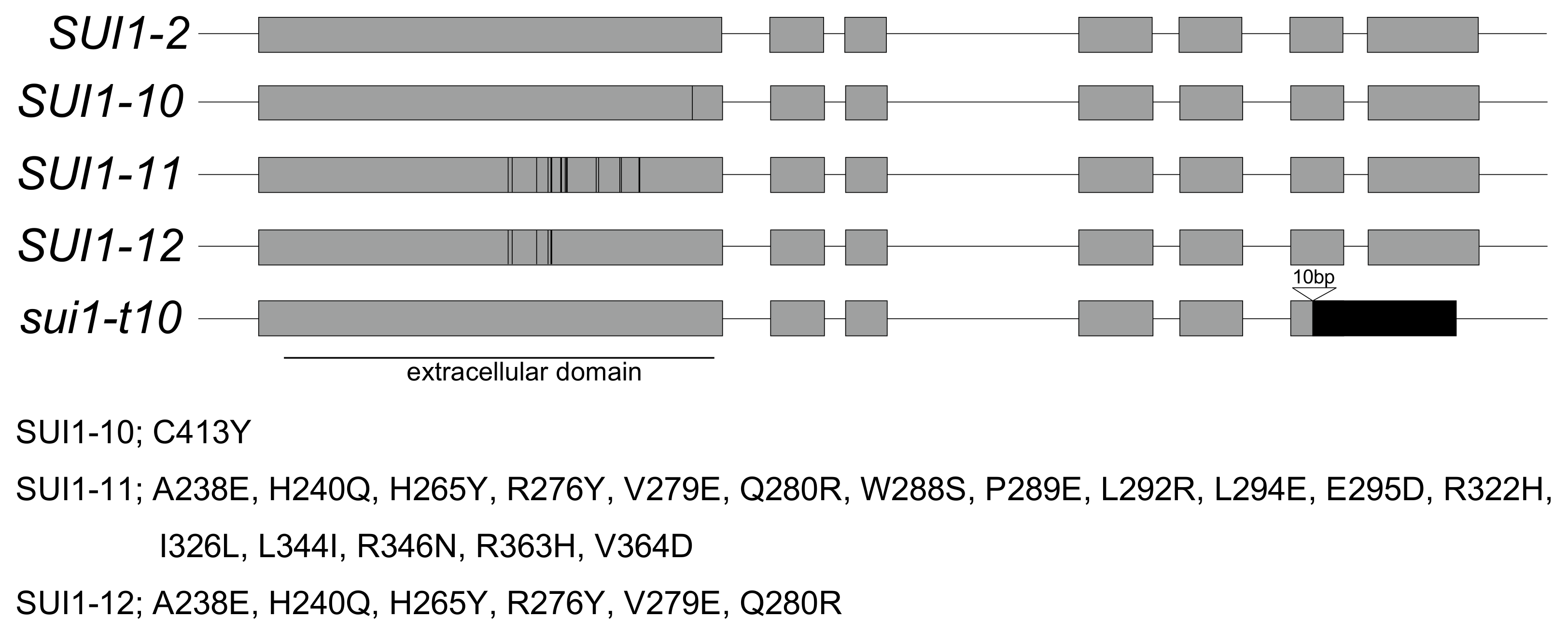 Plants 10 02467 g001