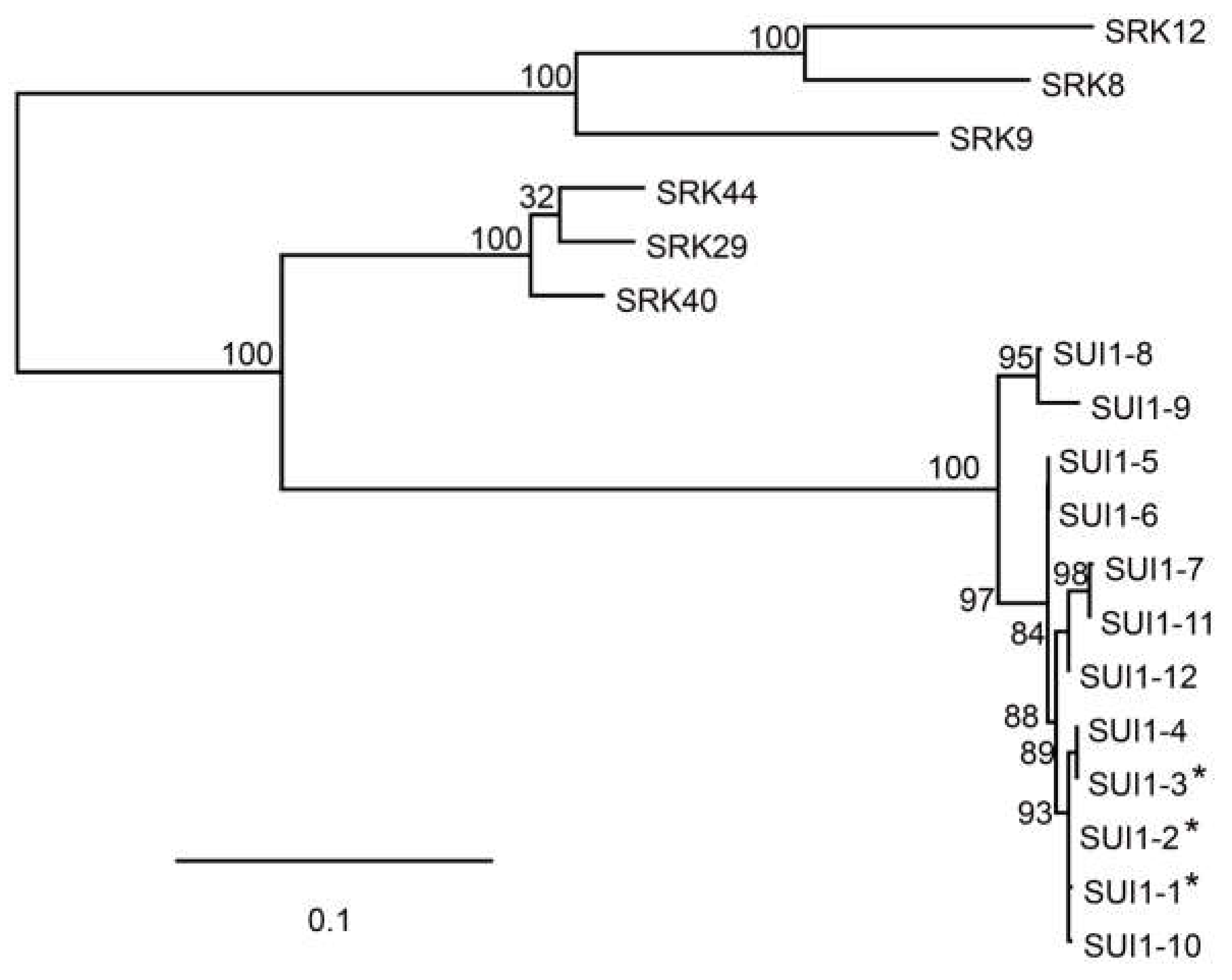 Plants 10 02467 g002