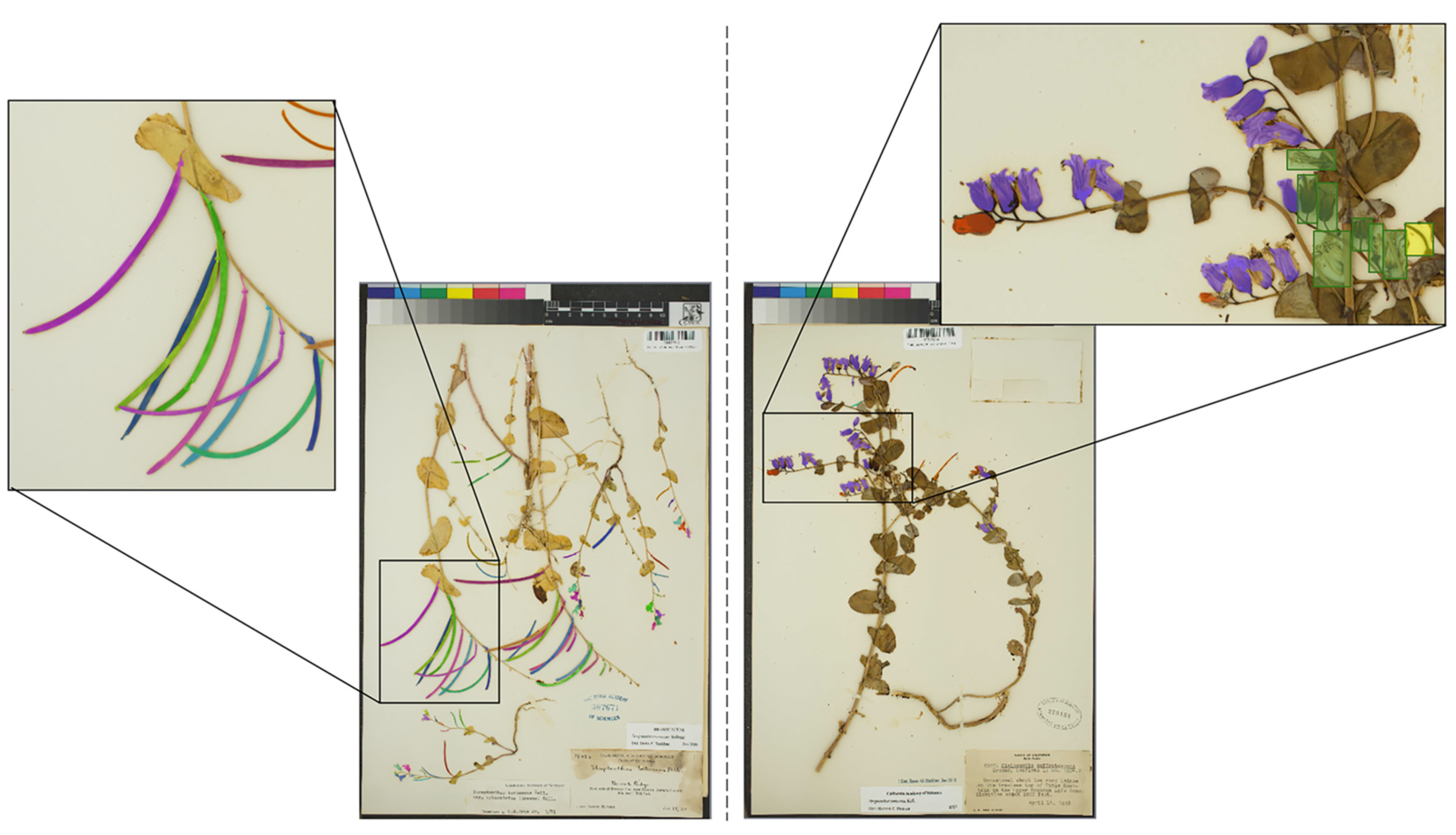 Plants 10 02471 g003