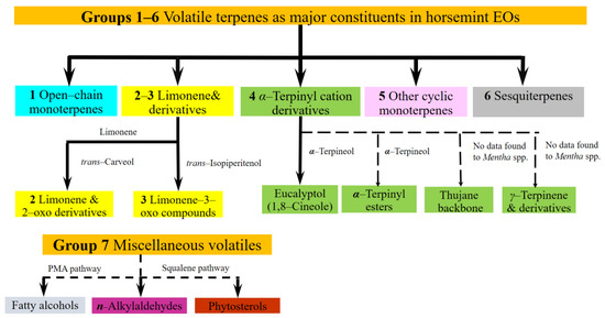 Plants 10 02478 g001