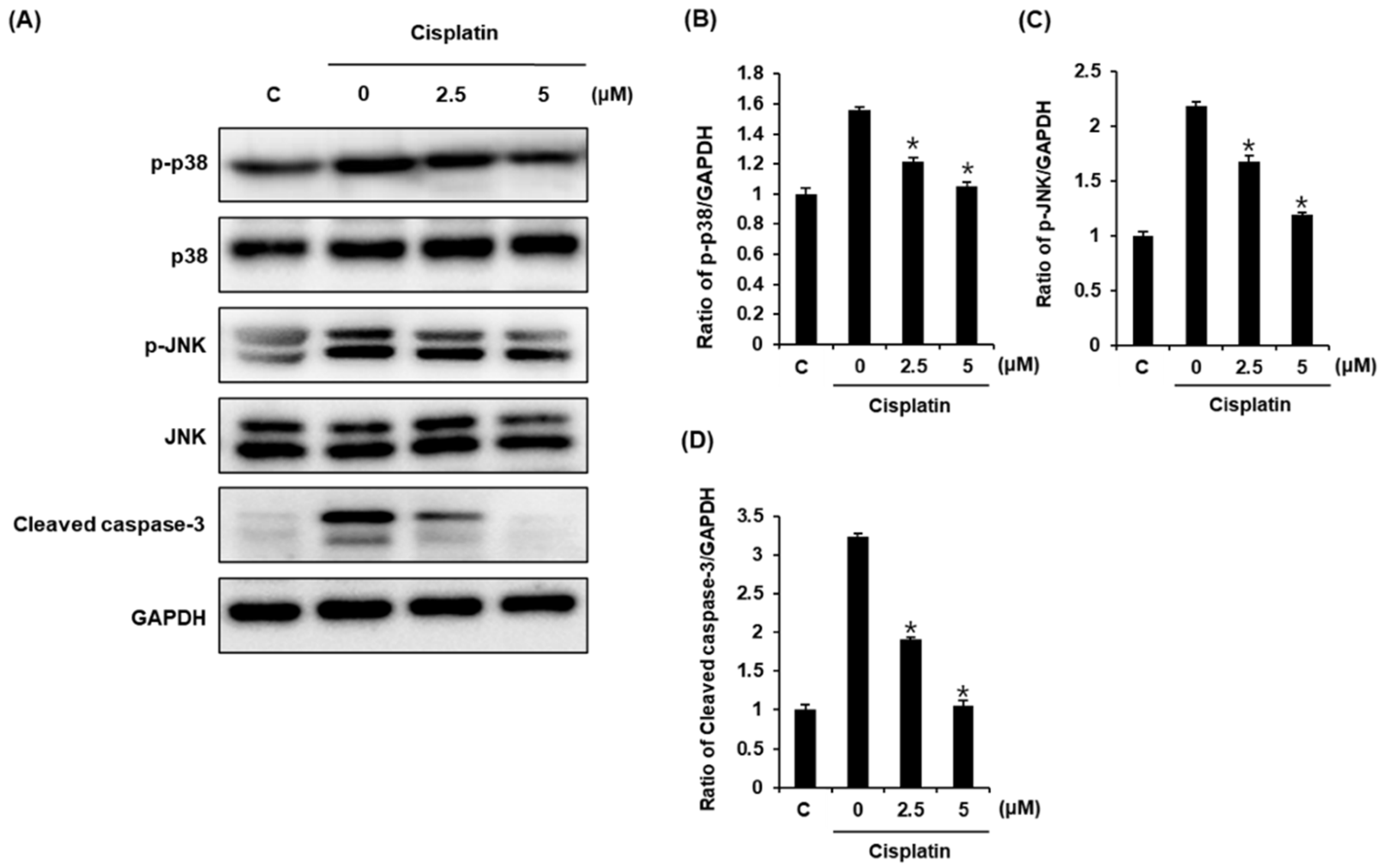 Plants 10 02481 g004
