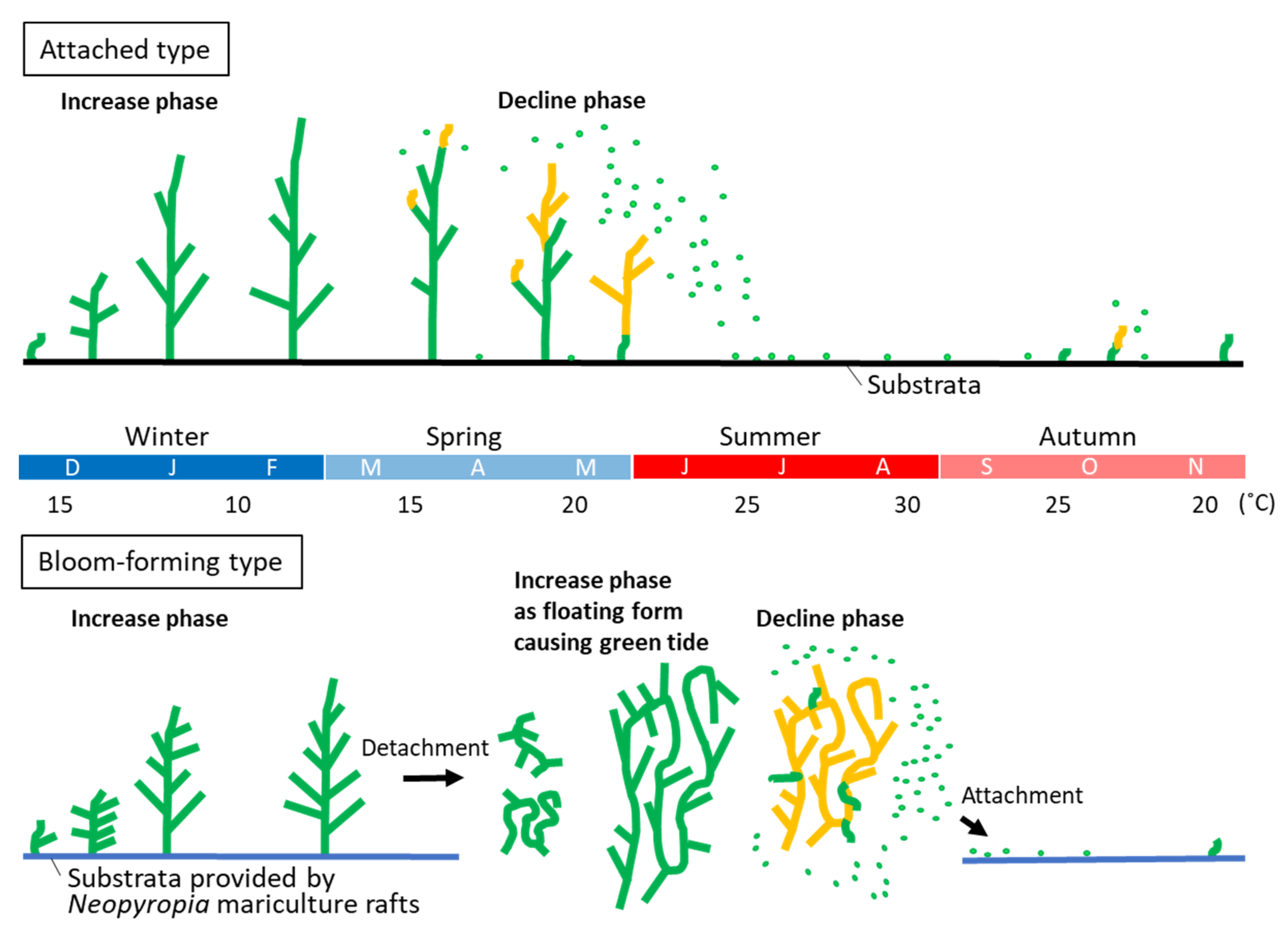 Plants 10 02482 g004
