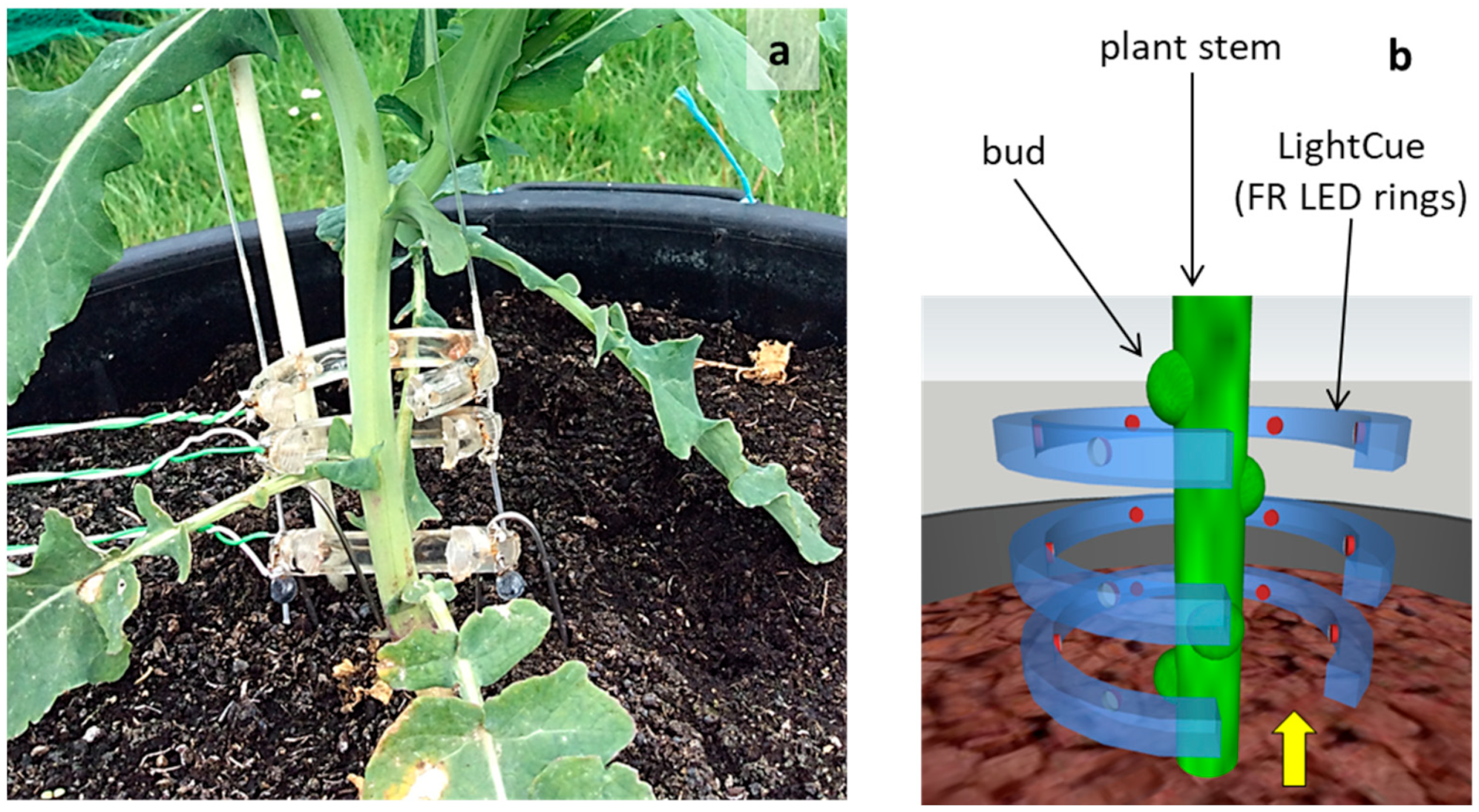 Plants 10 02483 g001