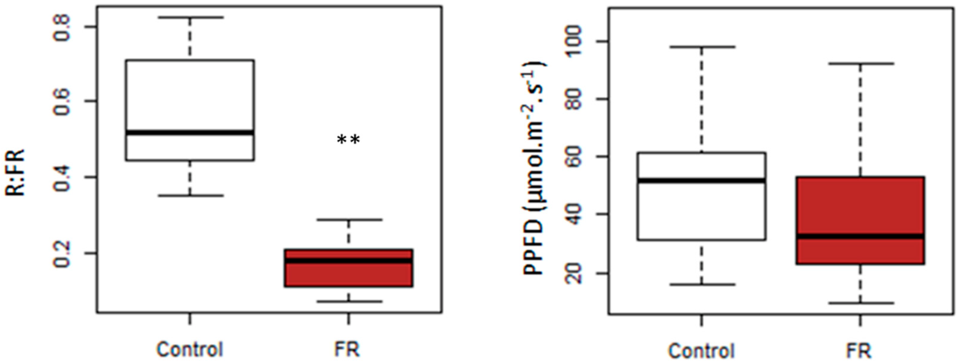 Plants 10 02483 g002