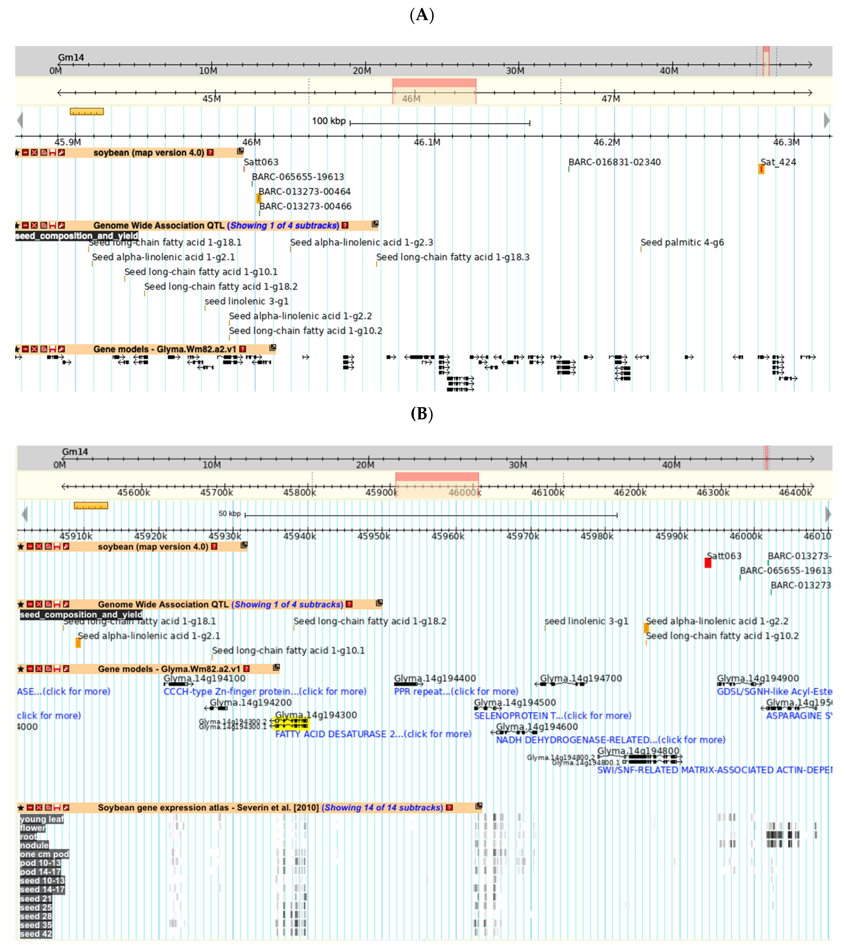Plants 10 02494 g004