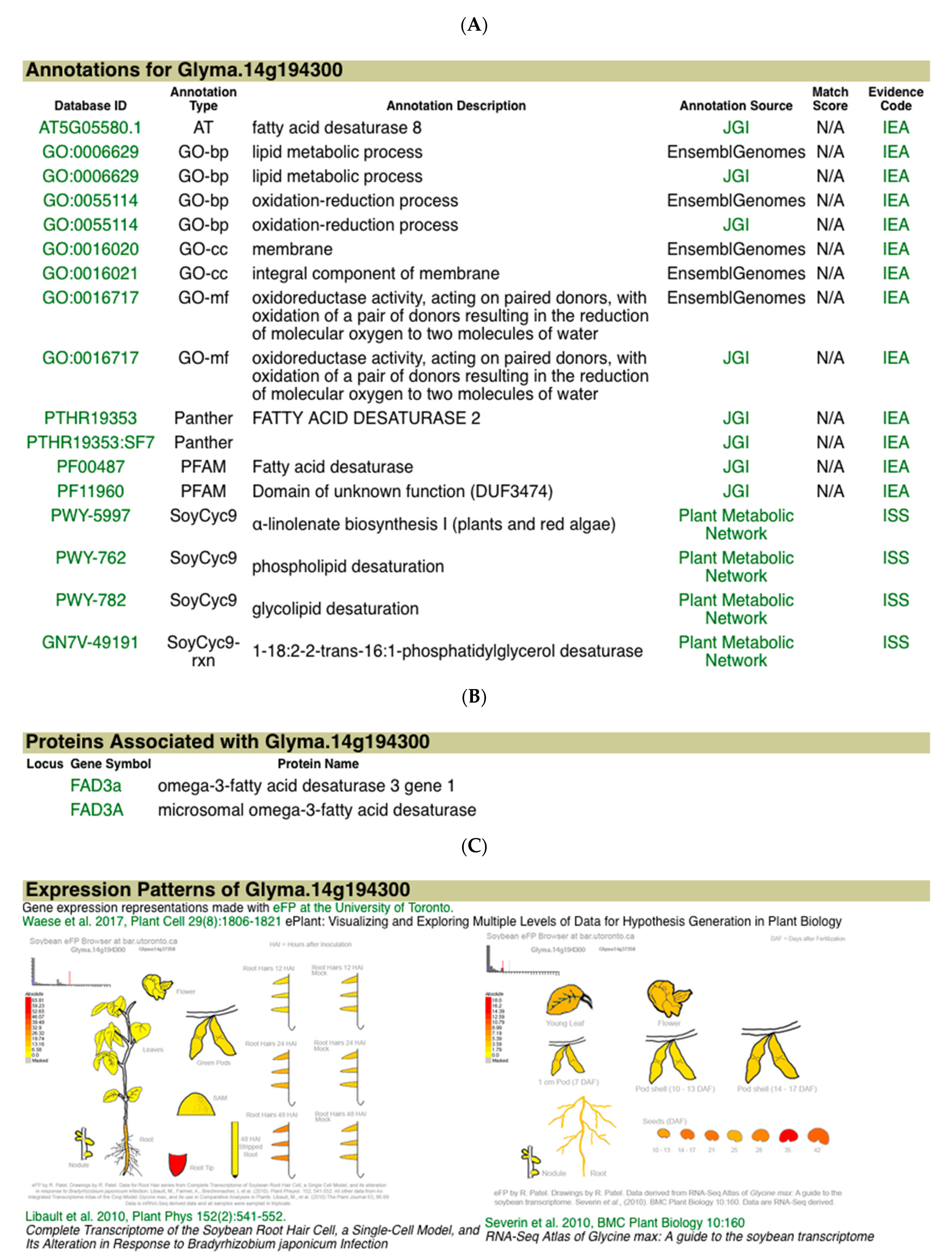 Plants 10 02494 g005