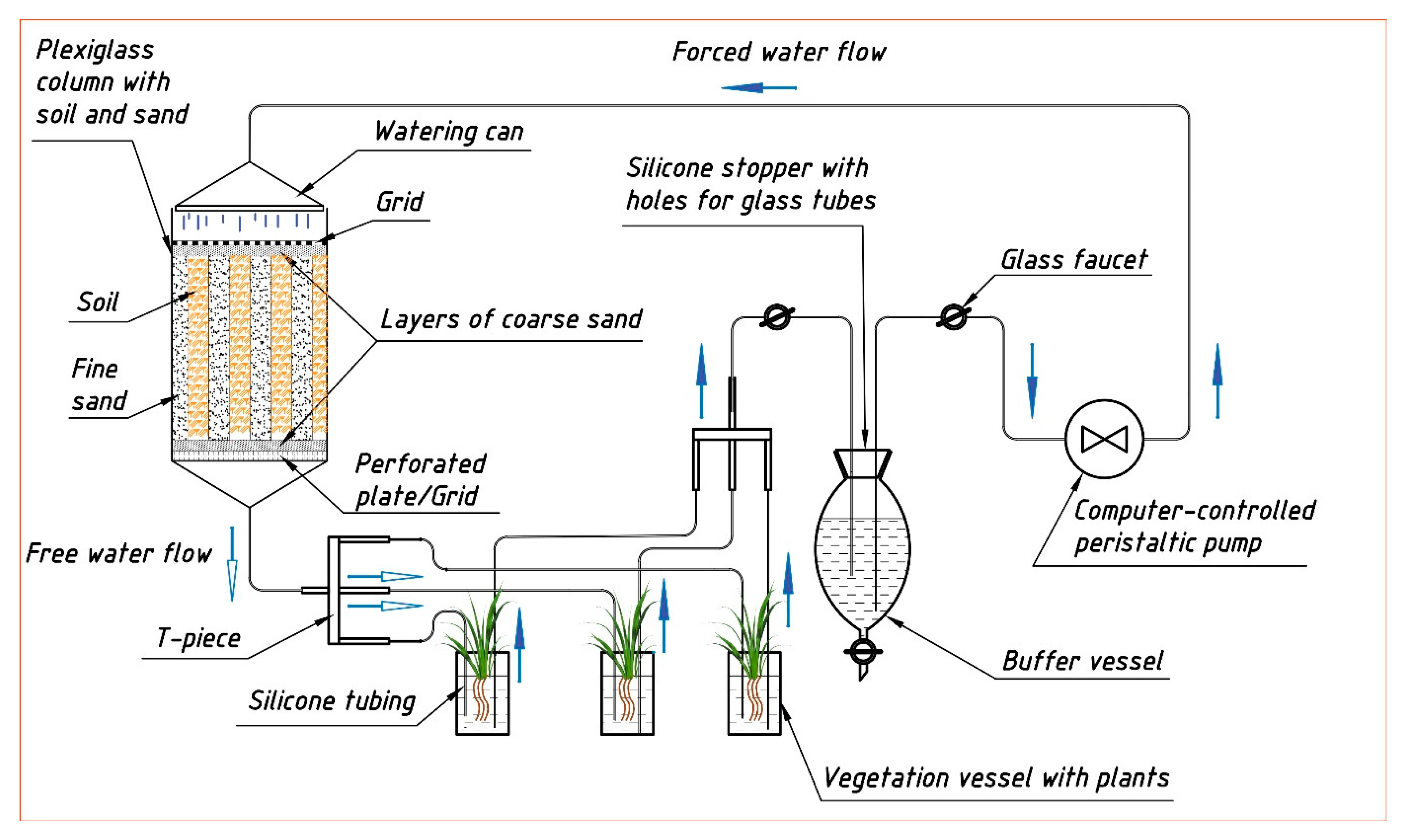 Plants 10 02496 g012