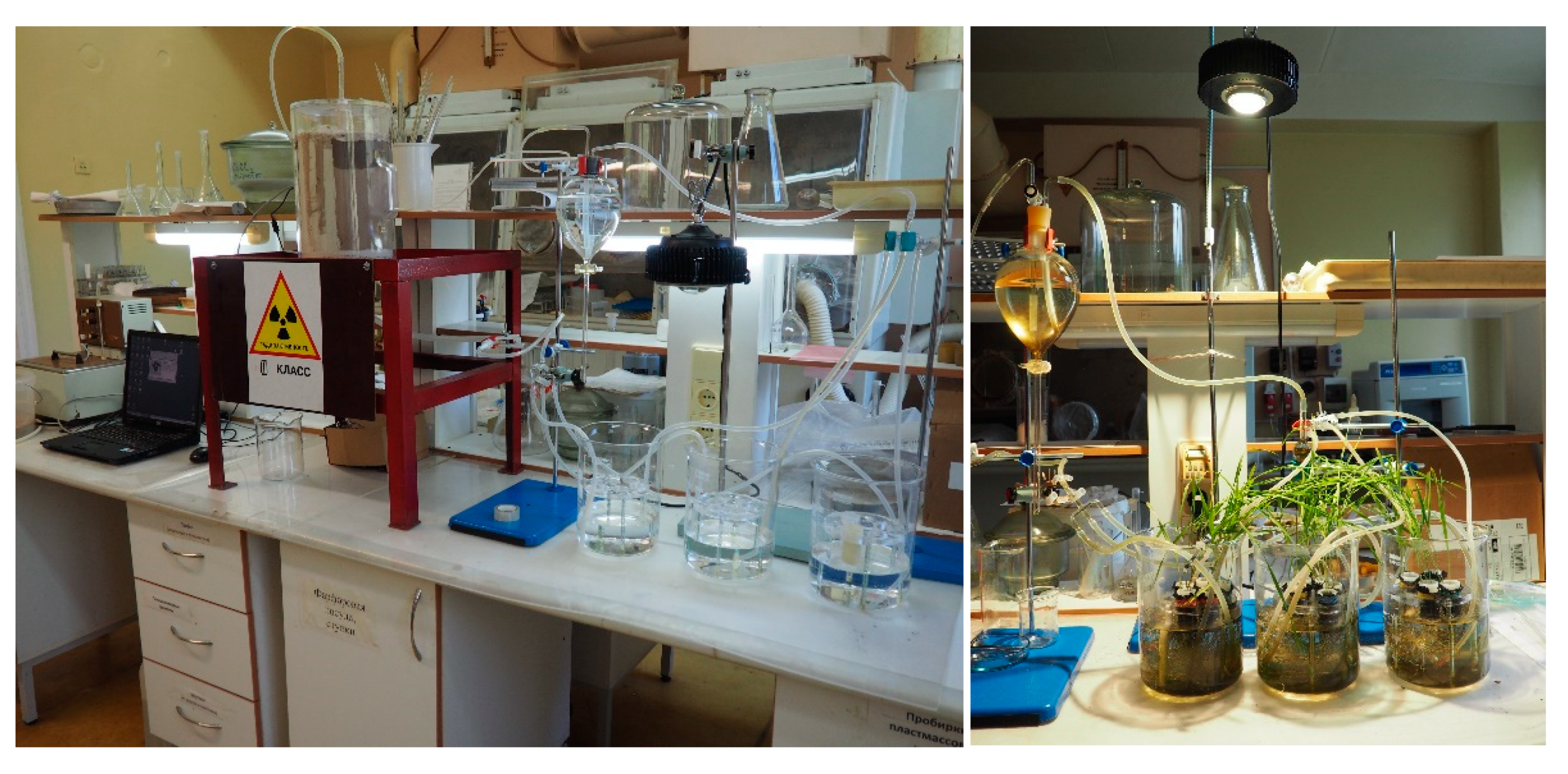 Plants 10 02496 g0a1