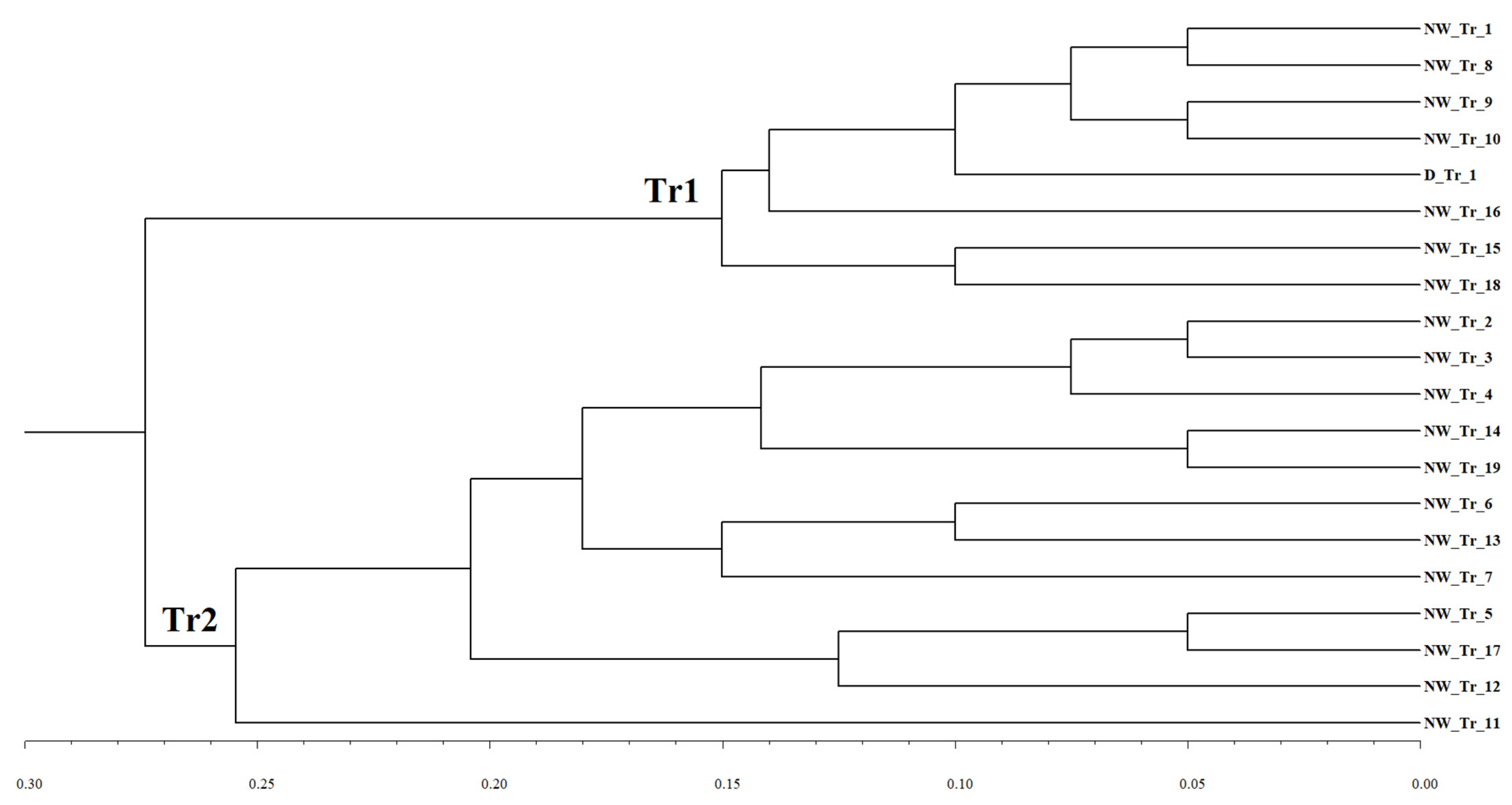 Plants 10 02497 g002