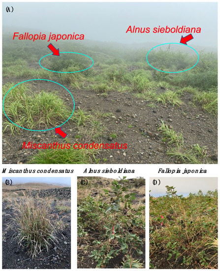 Plants 10 02500 g0a1