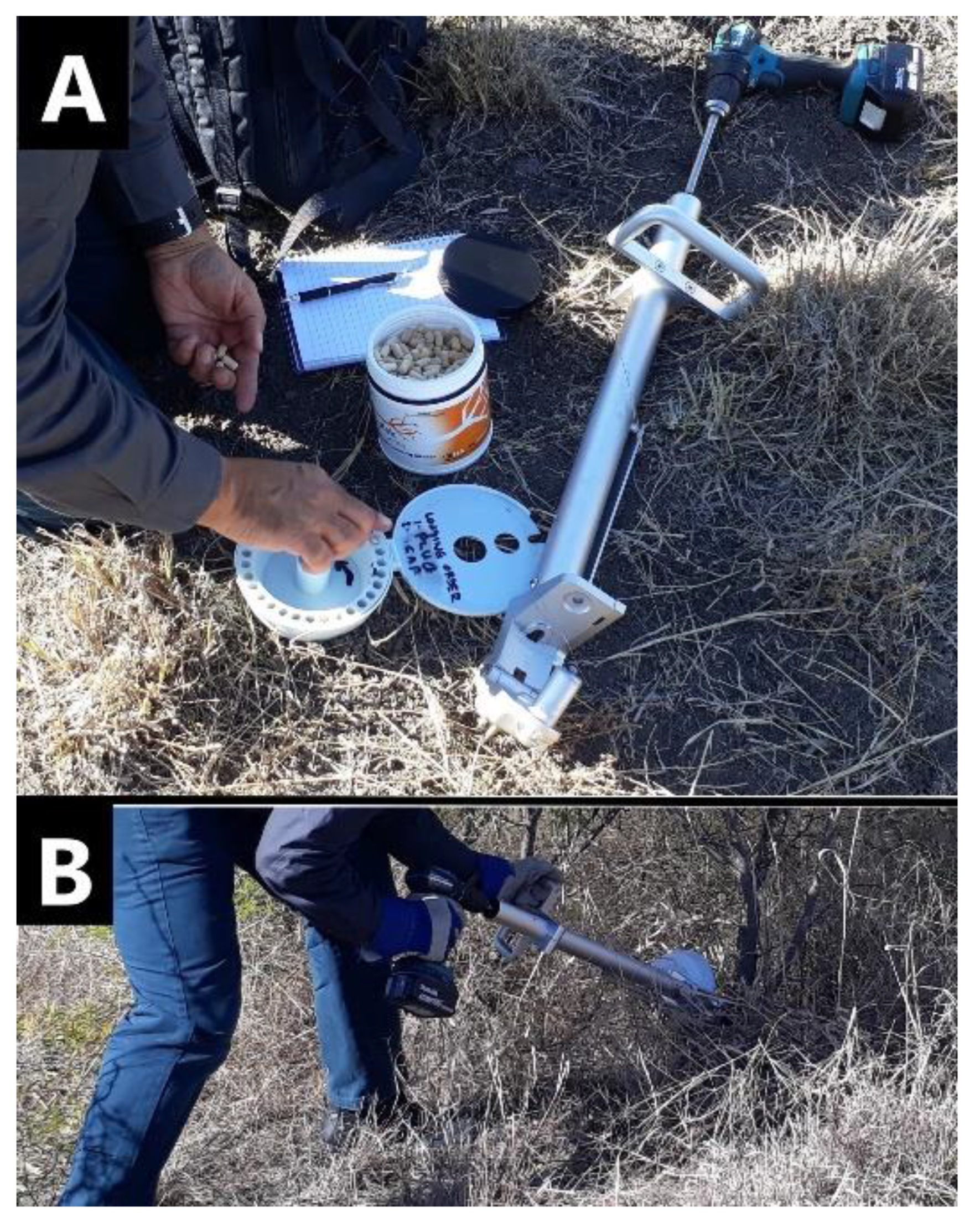 Plants 10 02505 g004