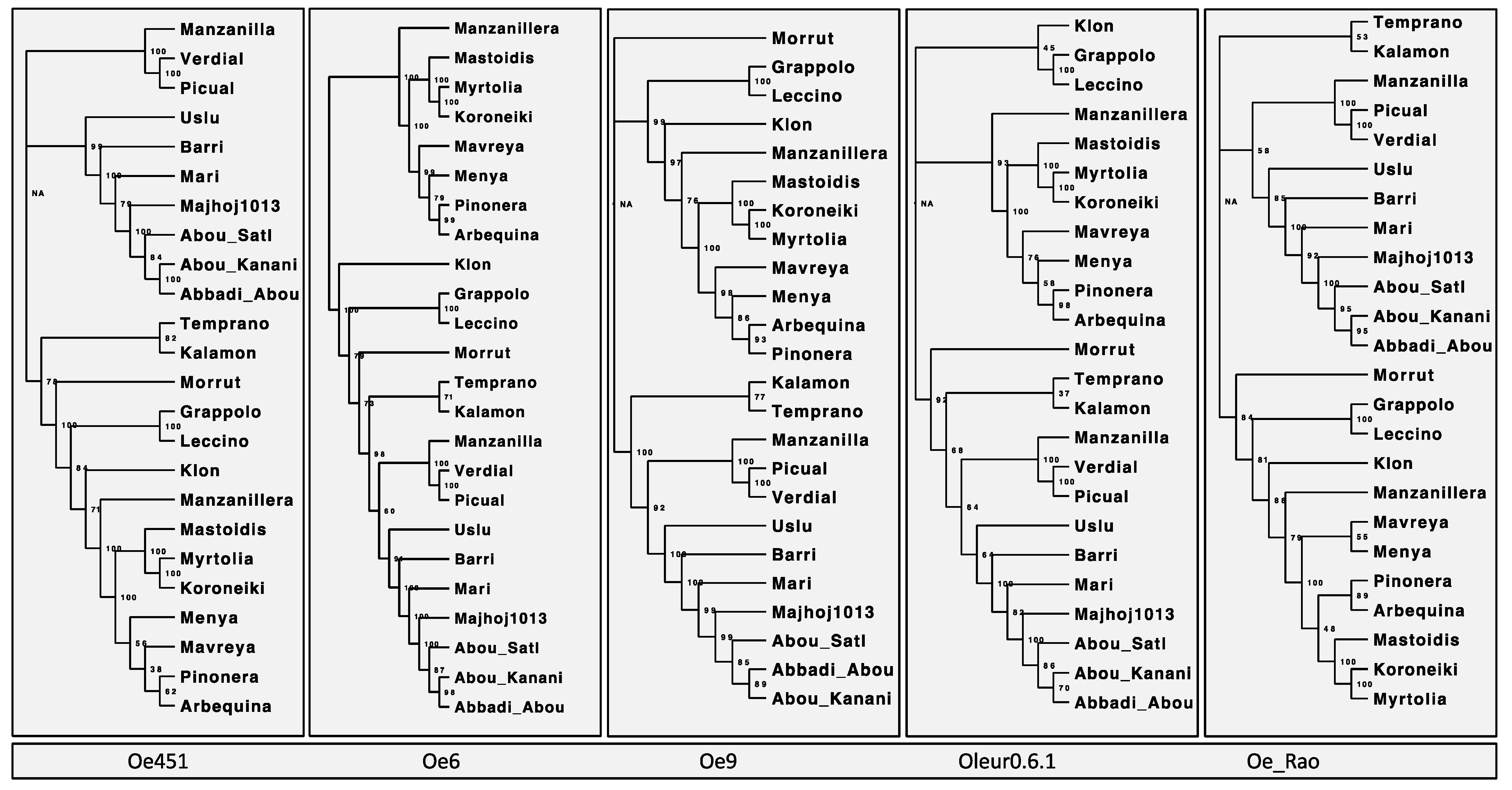 Plants 10 02514 g001