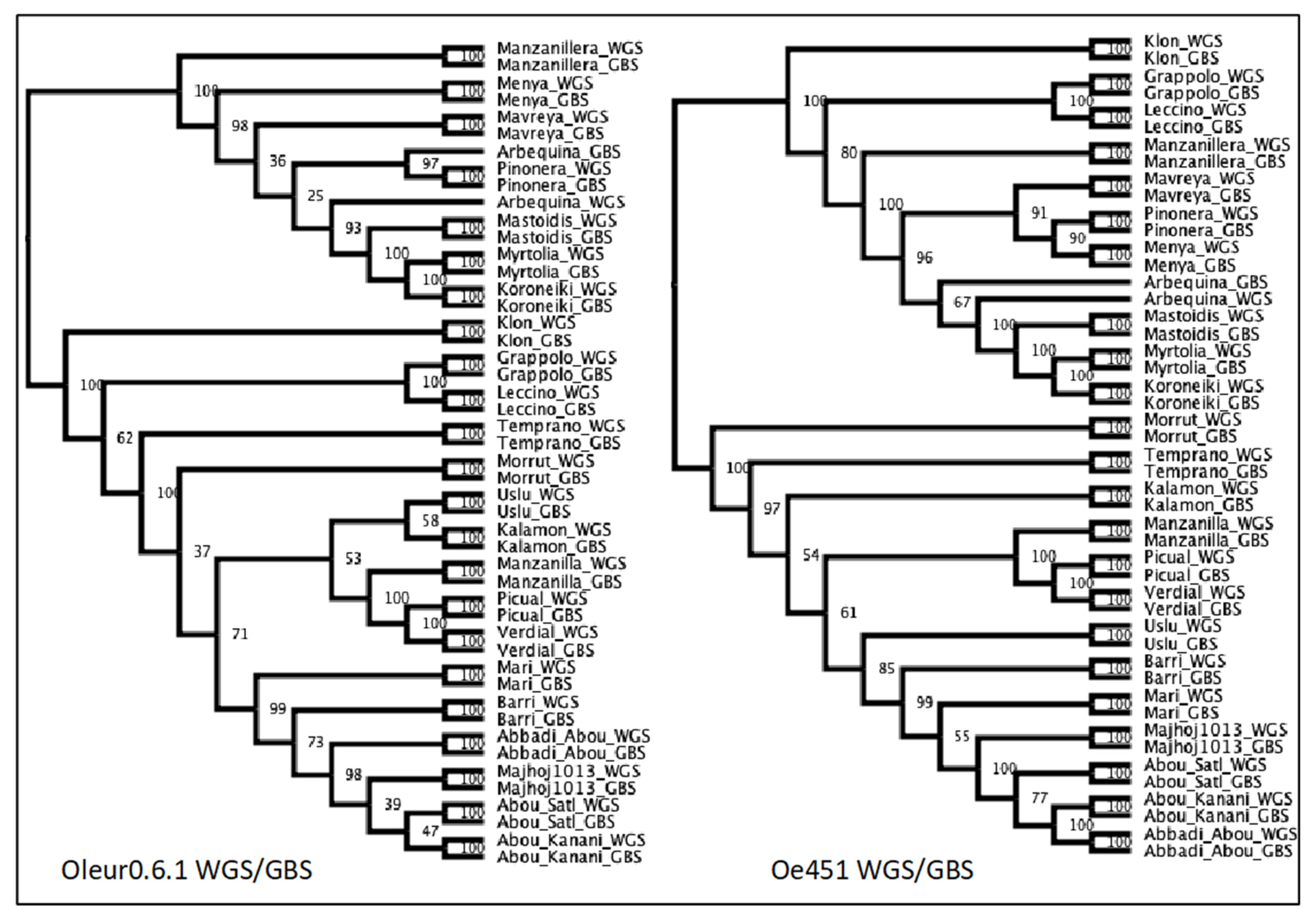 Plants 10 02514 g003