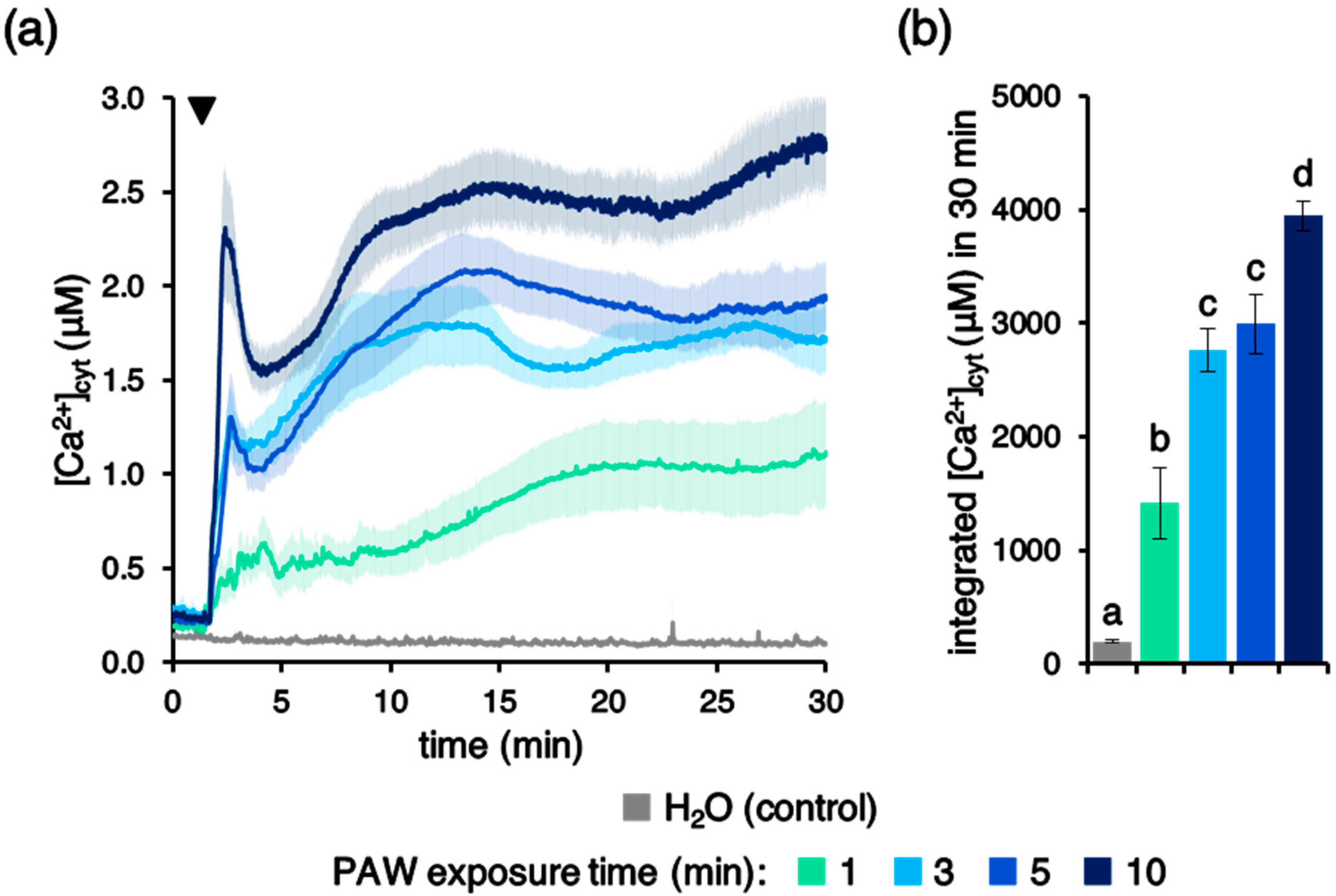 Plants 10 02516 g001