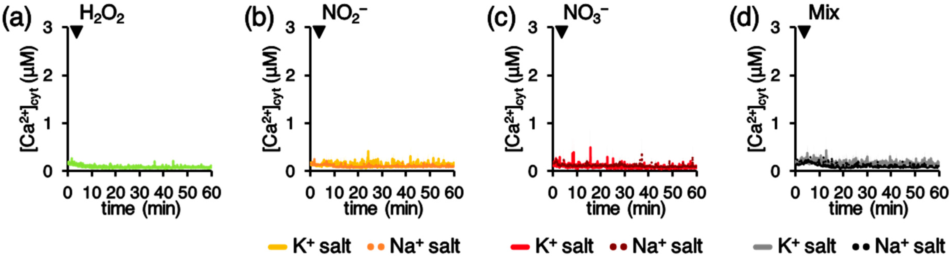 Plants 10 02516 g007
