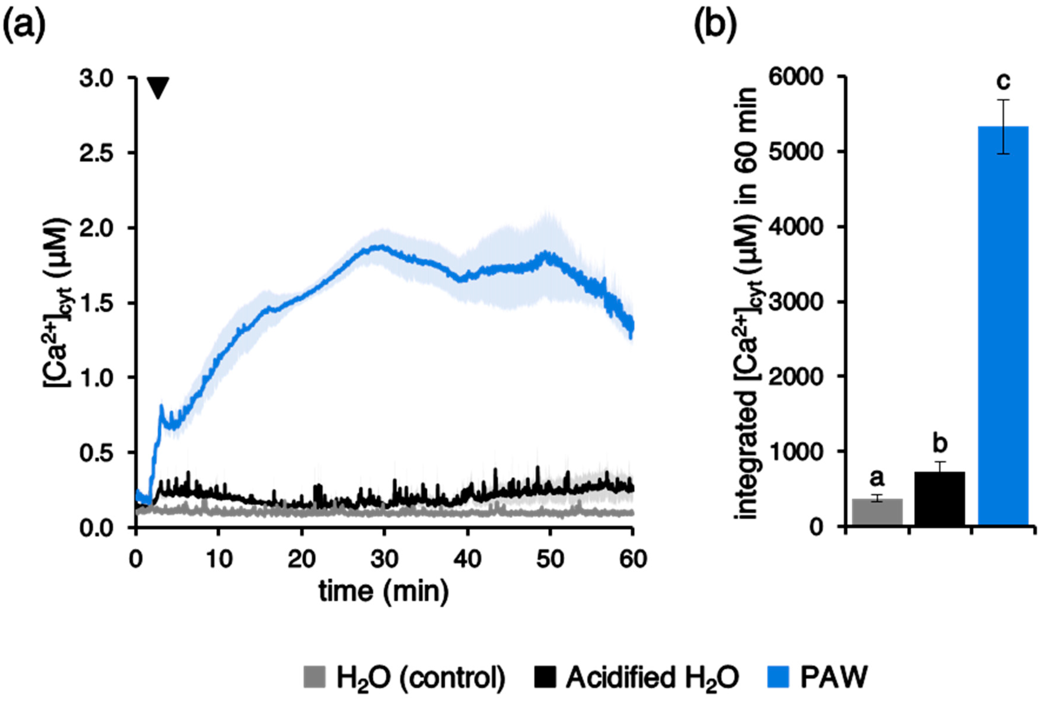 Plants 10 02516 g008