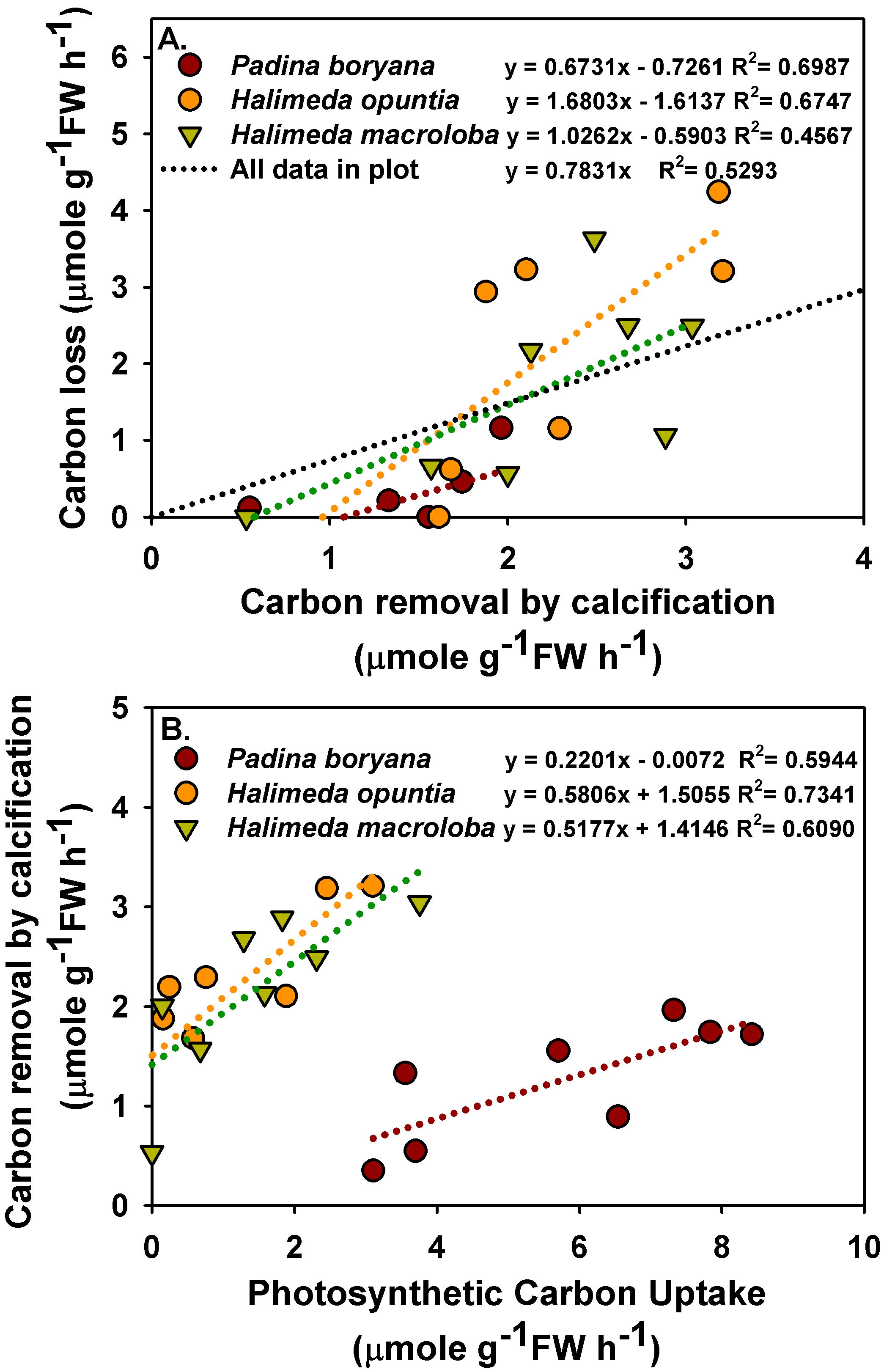 Plants 10 02537 g004