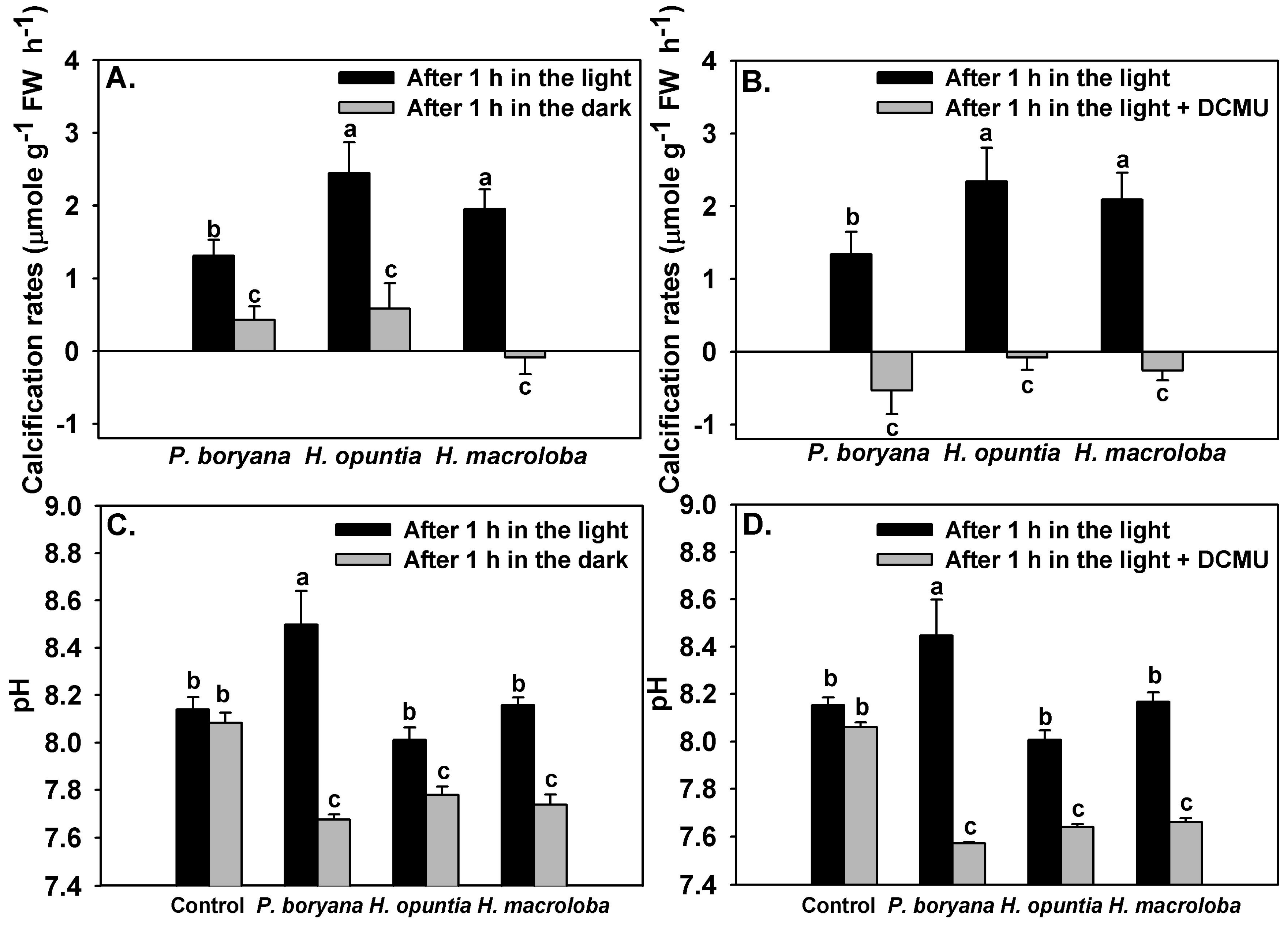 Plants 10 02537 g005