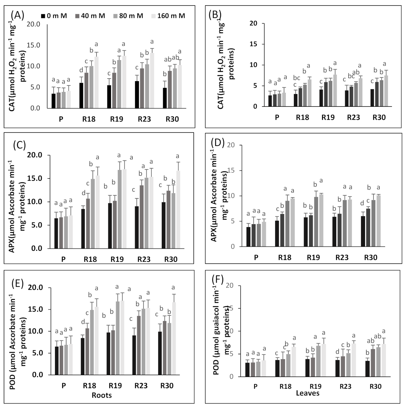 Plants 10 02544 g006 Plants 10 02544 g006