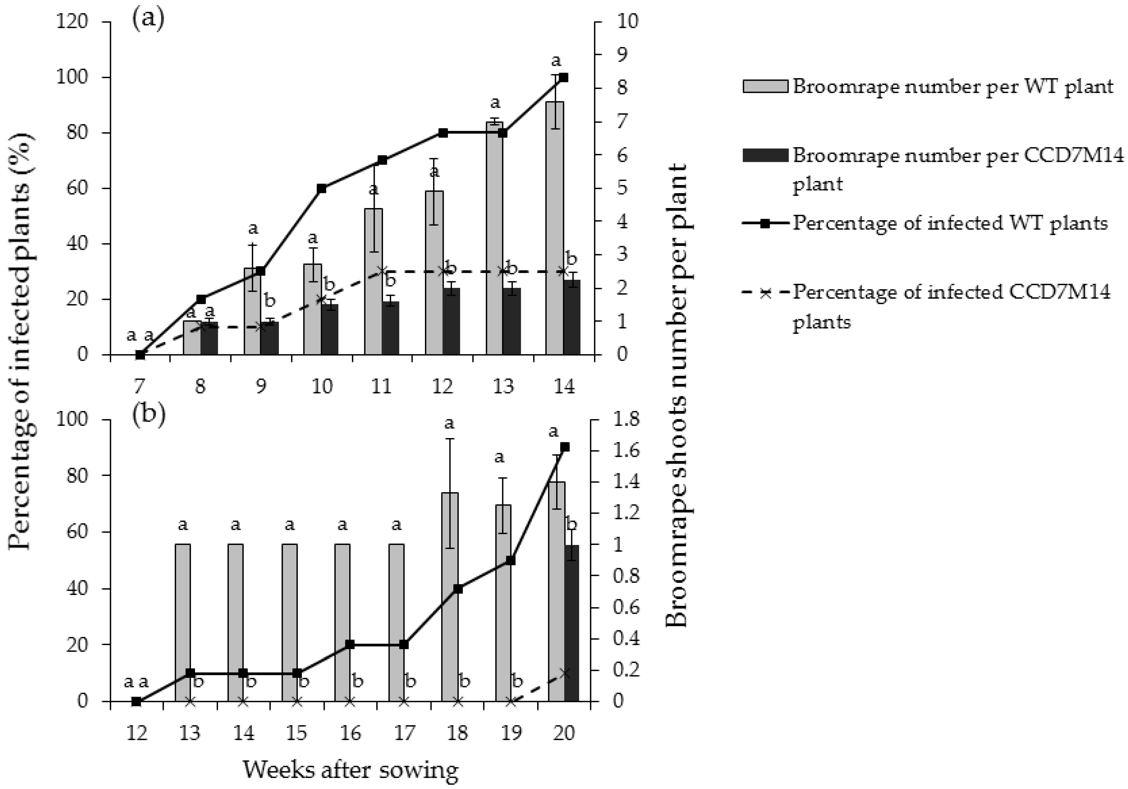 Plants 10 02552 g001