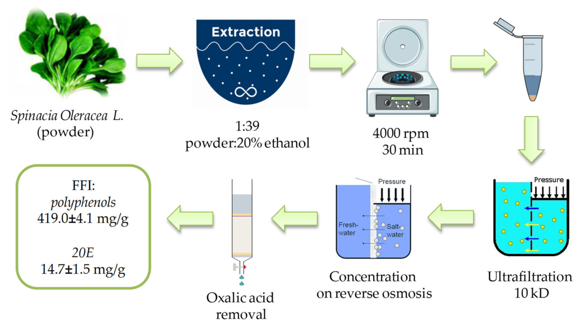 Plants 10 02555 g006
