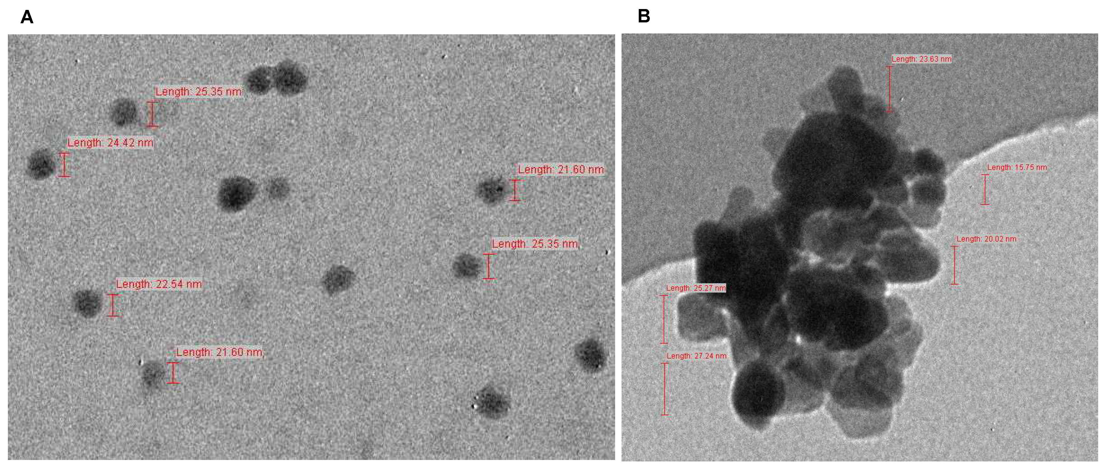 Plants 10 02556 g002